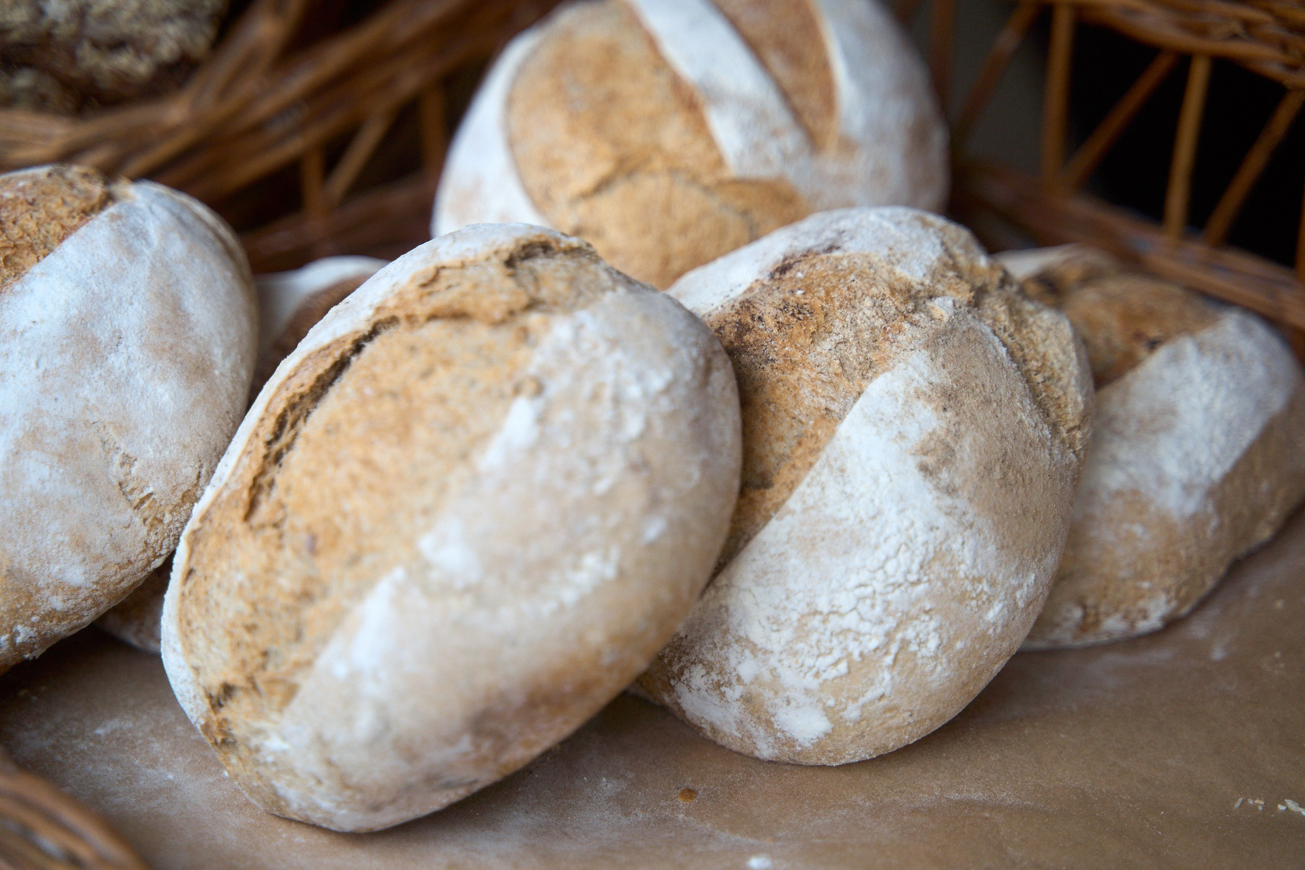 Фестиваль Пожарских котлет в Торжке 2026: программа и даты