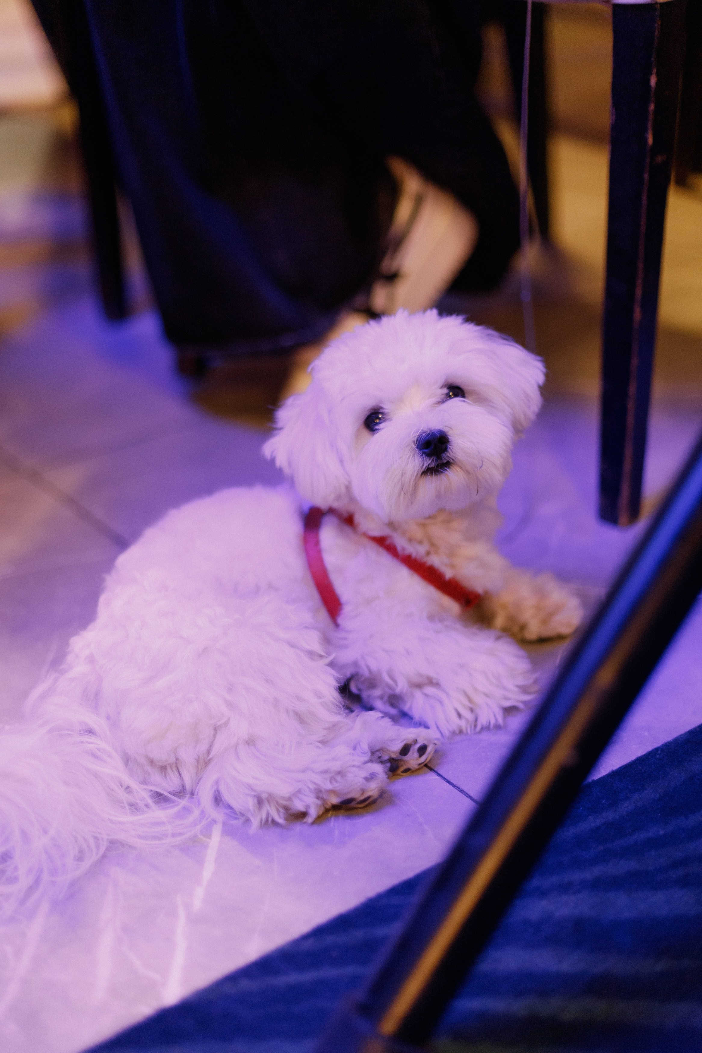 ПРЕМИЯ 2ГИС | PART I. СВОИ. ФОТООТЧЕТЫ-СОБЫТИЯ-МЕСТА