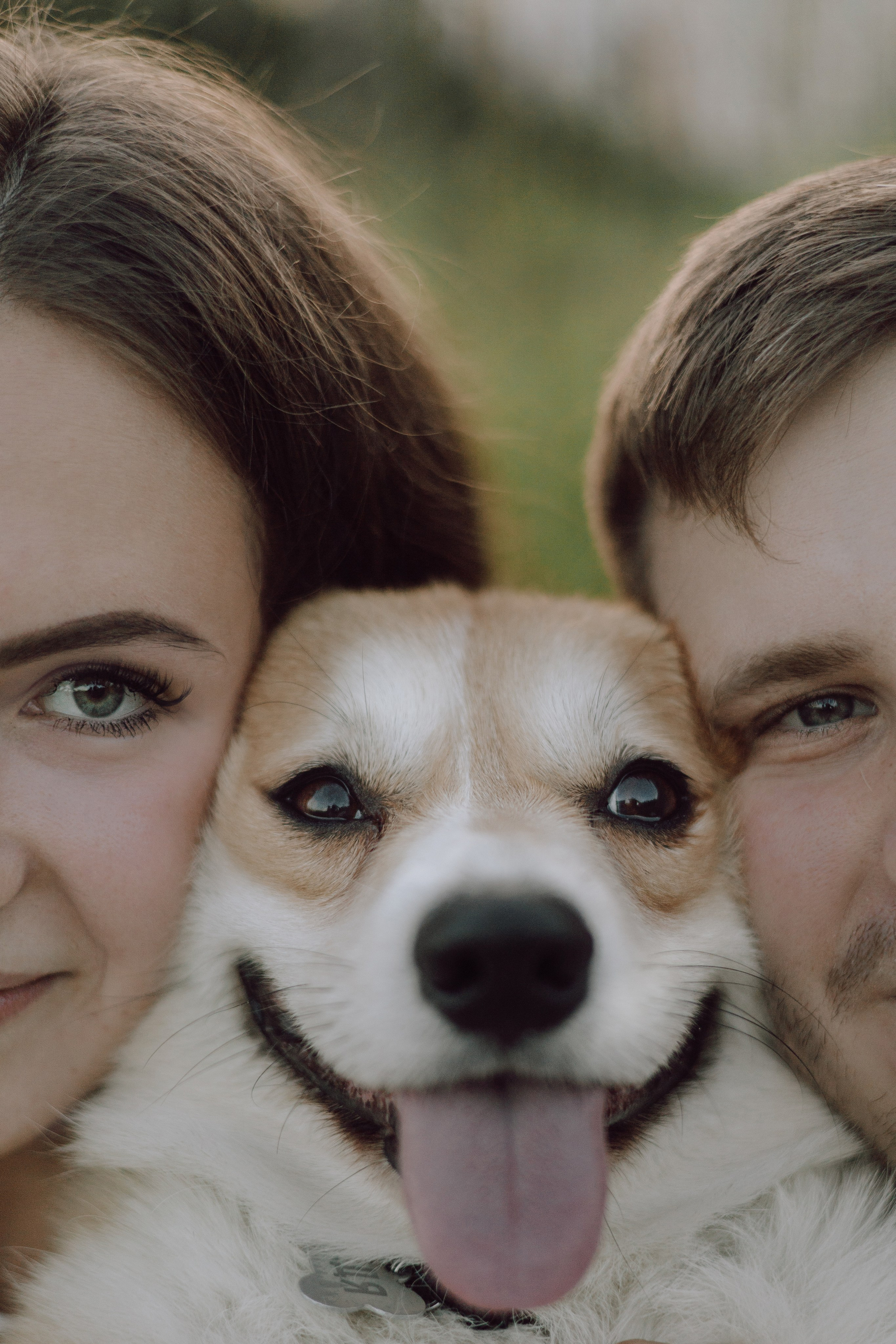 Фёдор и ребята. Фотограф — анималист •love-story•|Санкт-Петербург