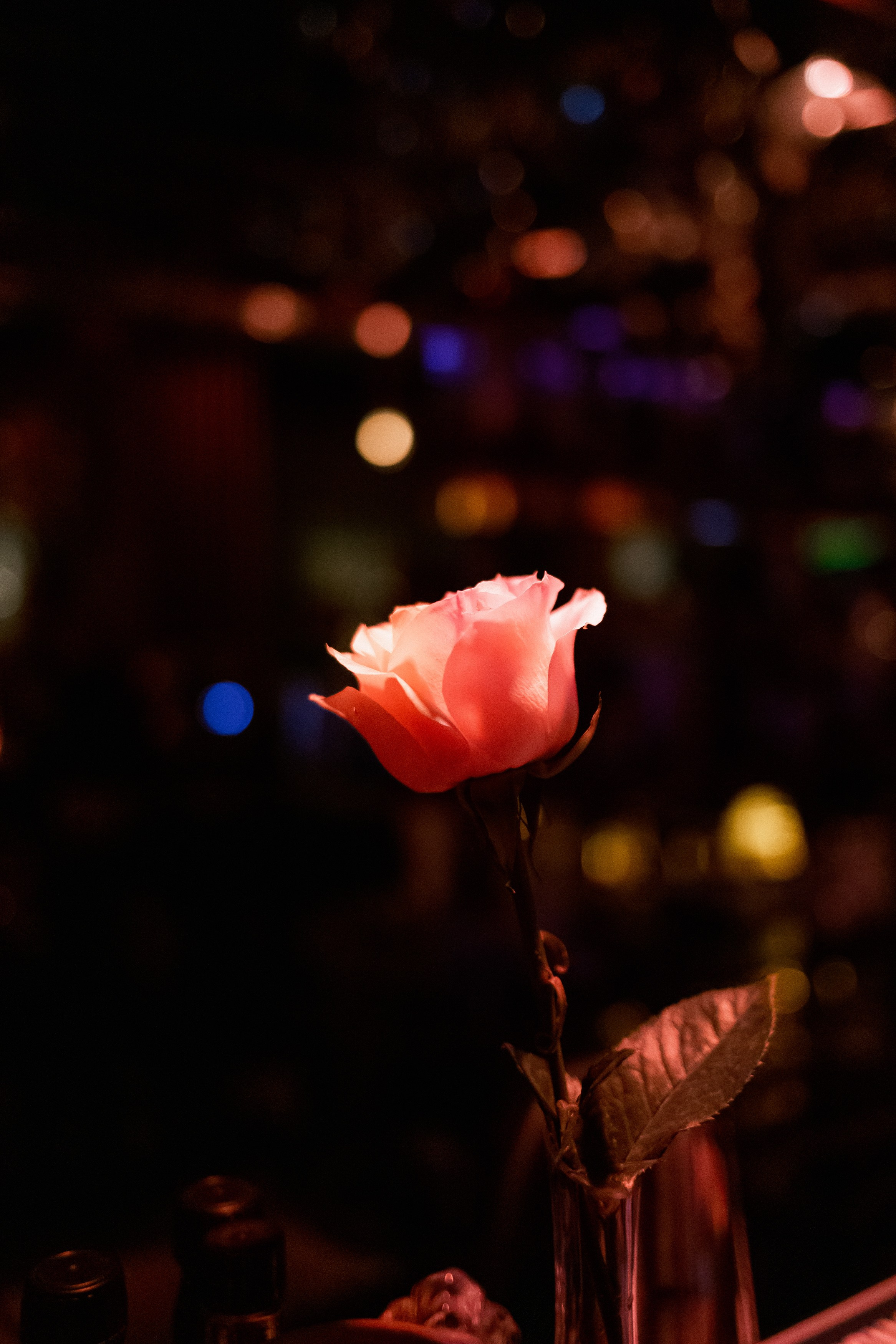 YANA URBAN: сольный концерт в «Анжелика Wineroom». СВОИ. ФОТООТЧЕТЫ-СОБЫТИЯ-МЕСТА