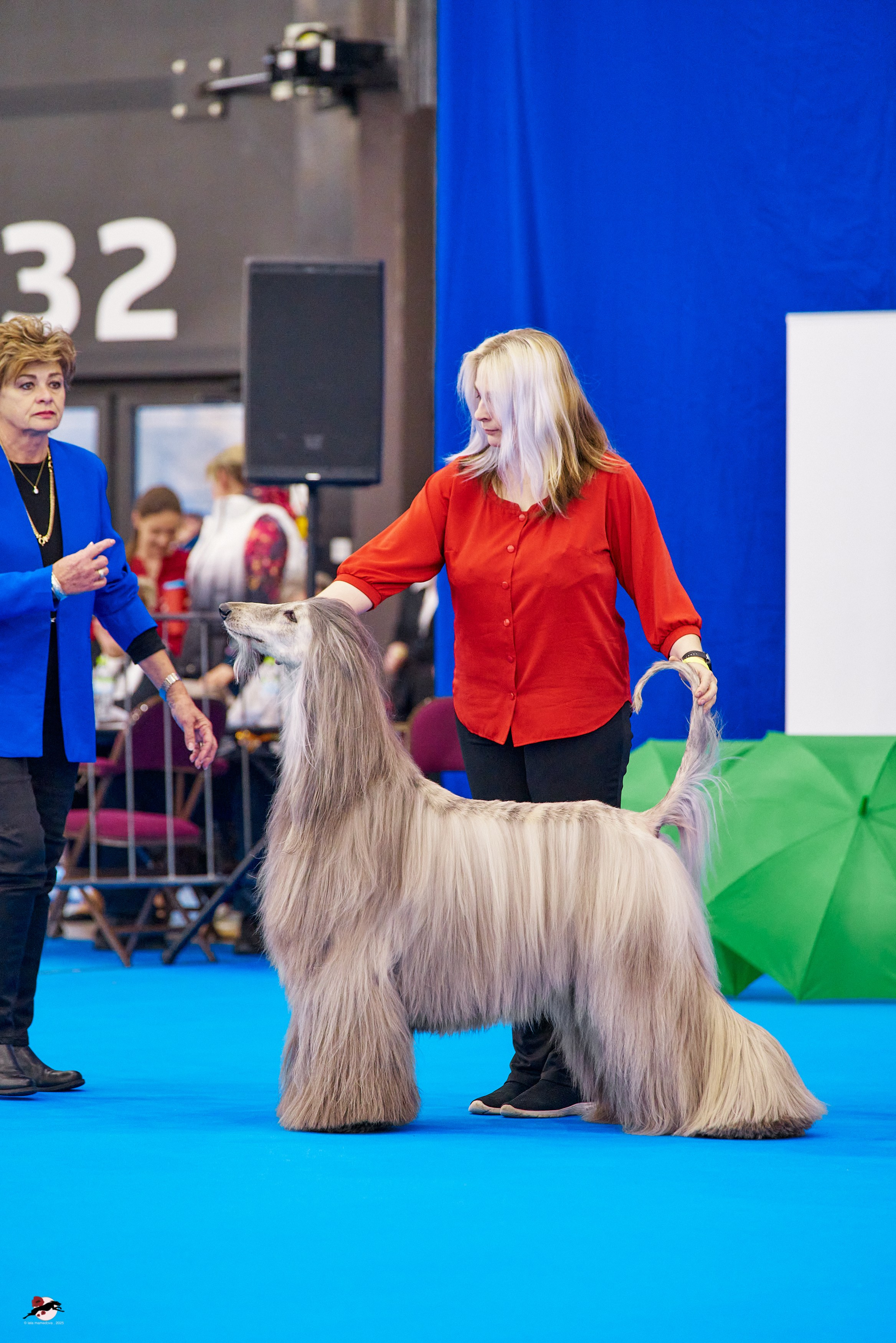 ГРАН ПРИ «ВЕСЕННИЙ ПЕТЕРБУРГ» & «СУПЕР КУБОК «ЭЛИТЫ»-2025»