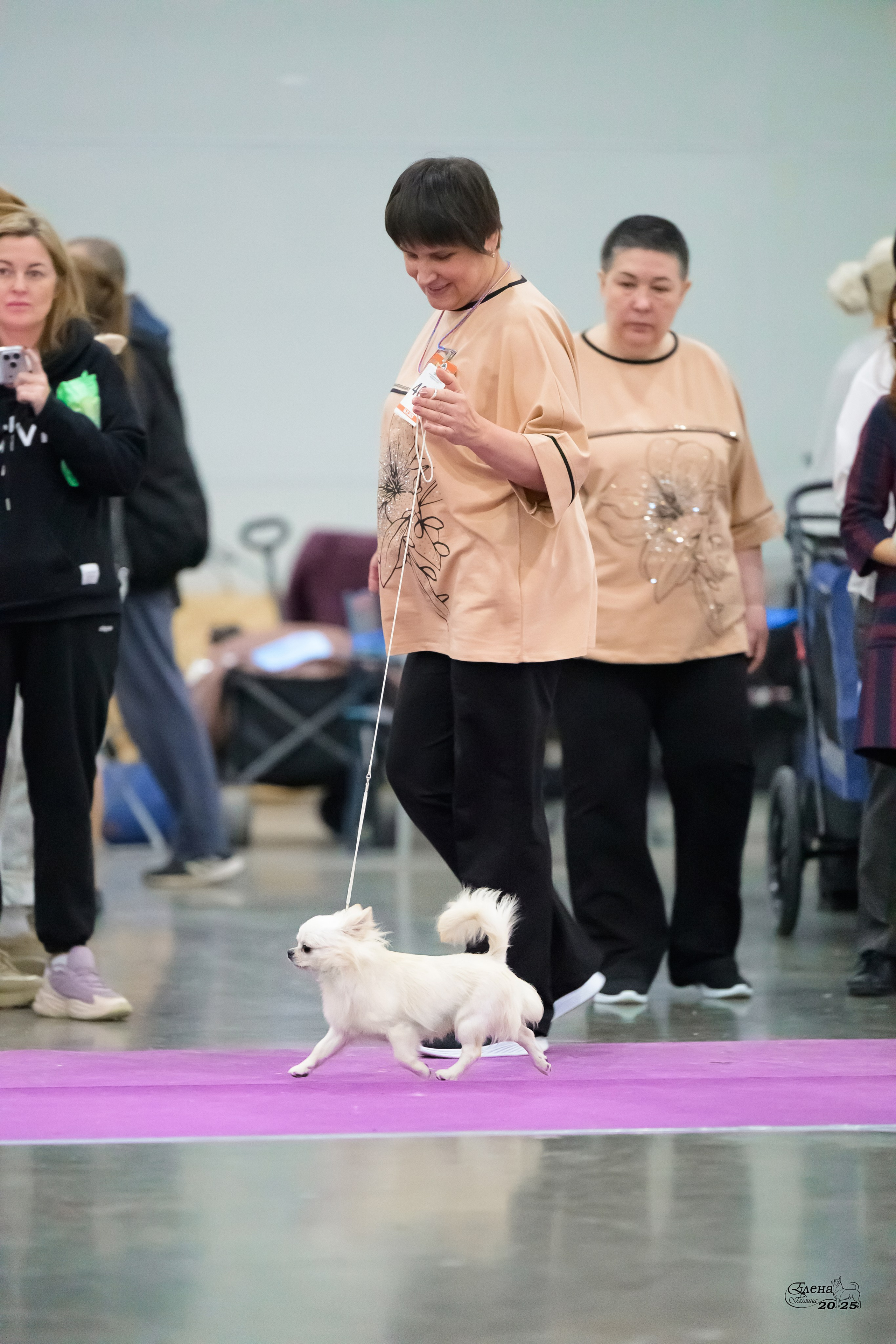 15-16.11.2025 ЕВРАЗИЯ г. Москва. Фотограф анималист Елена Галдина г. Красноярск