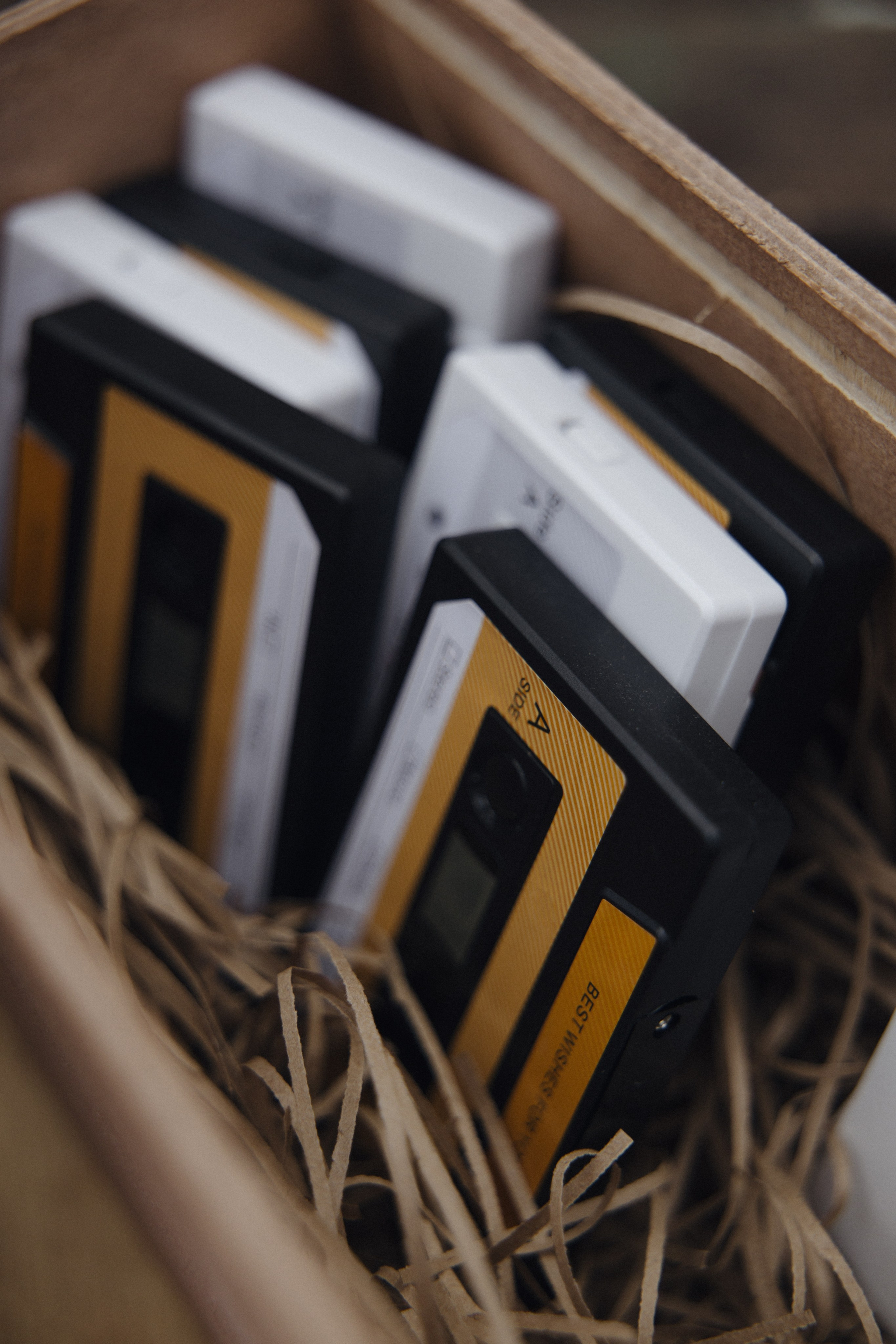 Свадьба в лесу Владислава и Светланы. Свадебный организатор Марина Корсакова, Барнаул, Бийск, Алтайский край, Горный Алтай, Новосибирск