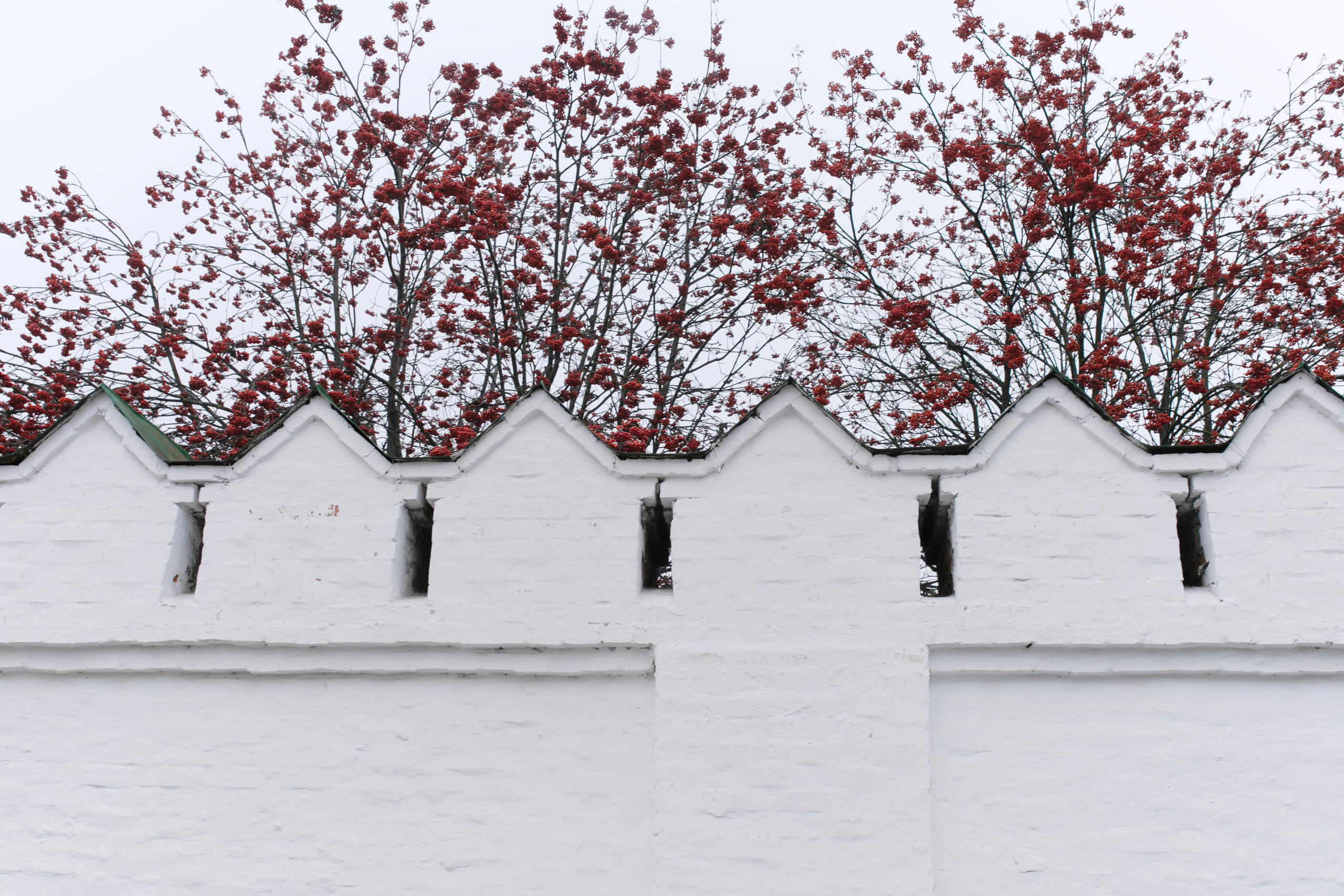 Муром — Гороховец'25. Фотограф-портретист в Москве