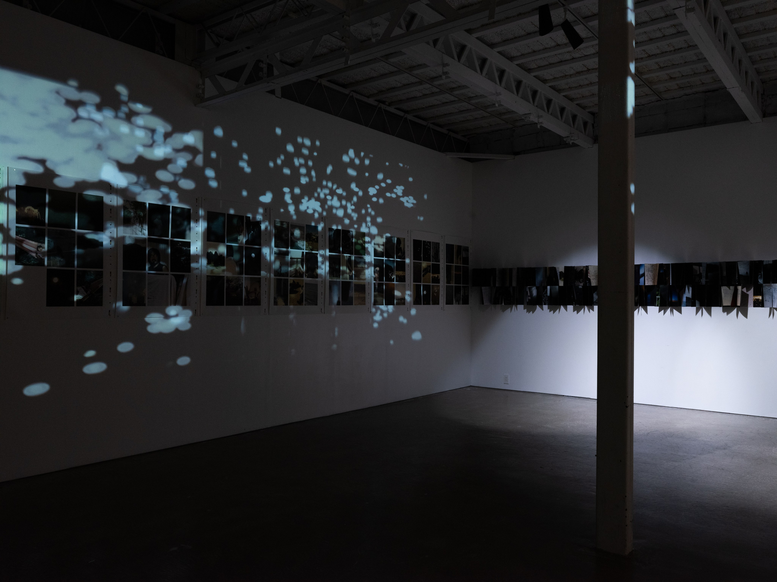 ИНТЕРВЬЮ С АВТОРАМИ: MOE SUZUKI. Самоорганизация Низина