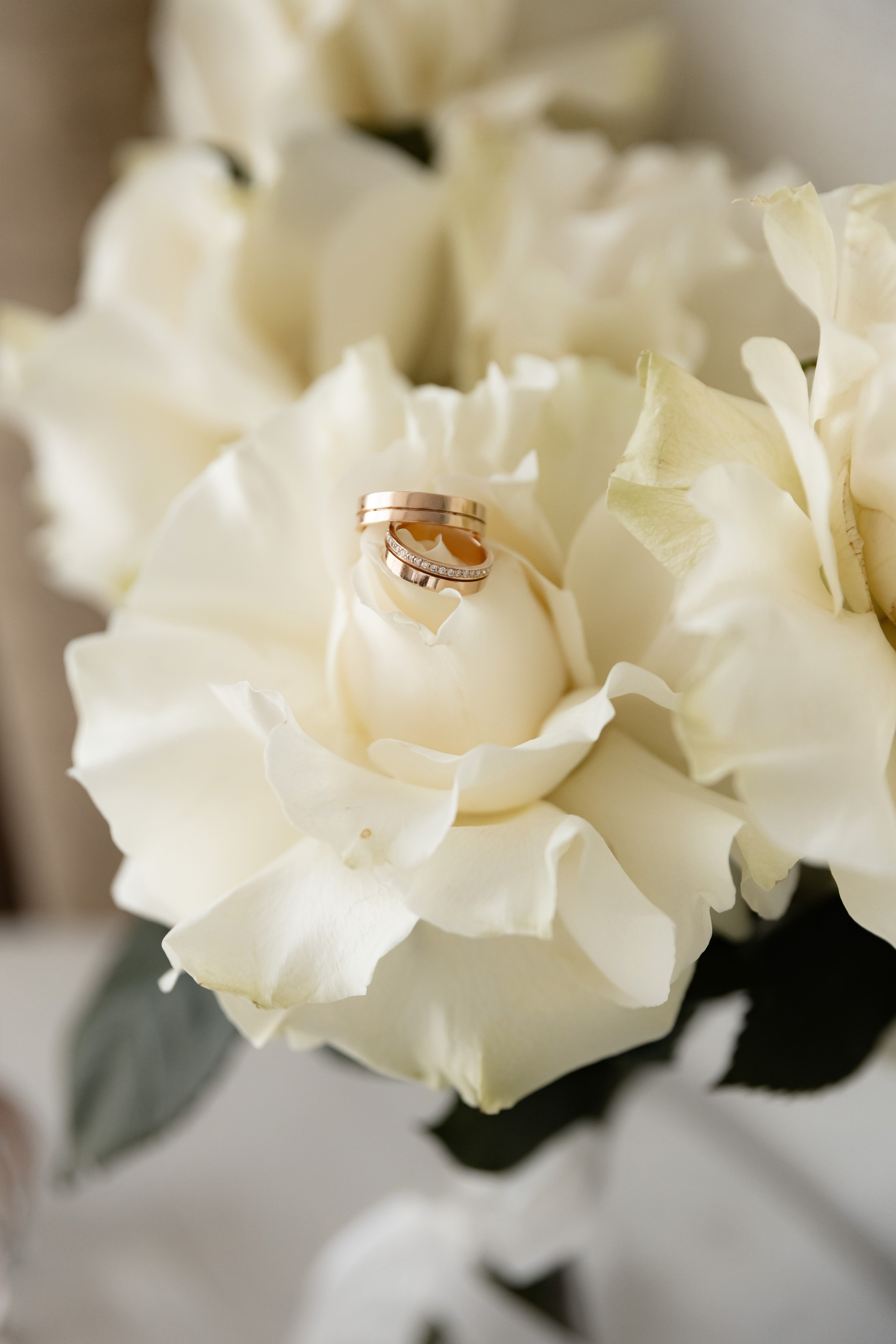 Альберт и Анна. Фотограф и Видеограф в Ростове на Дону