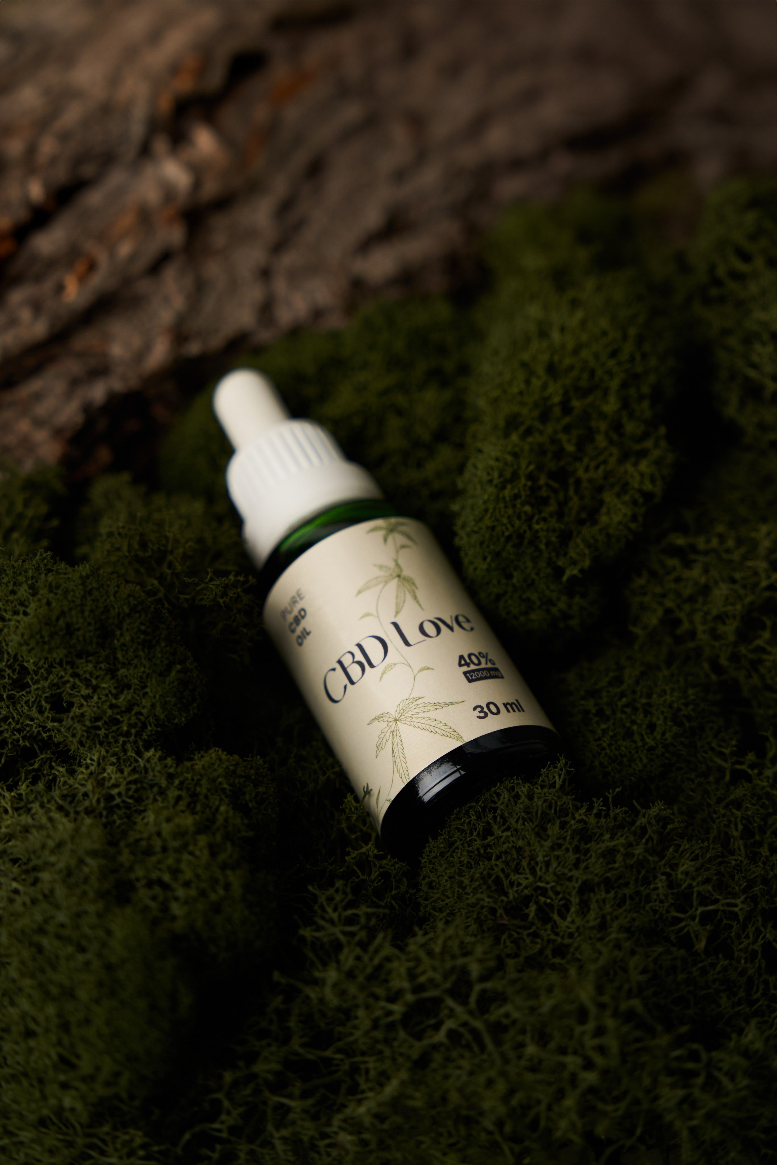 УСЛУГИ И СТОИМОСТЬ. Фотограф Лана Гусак