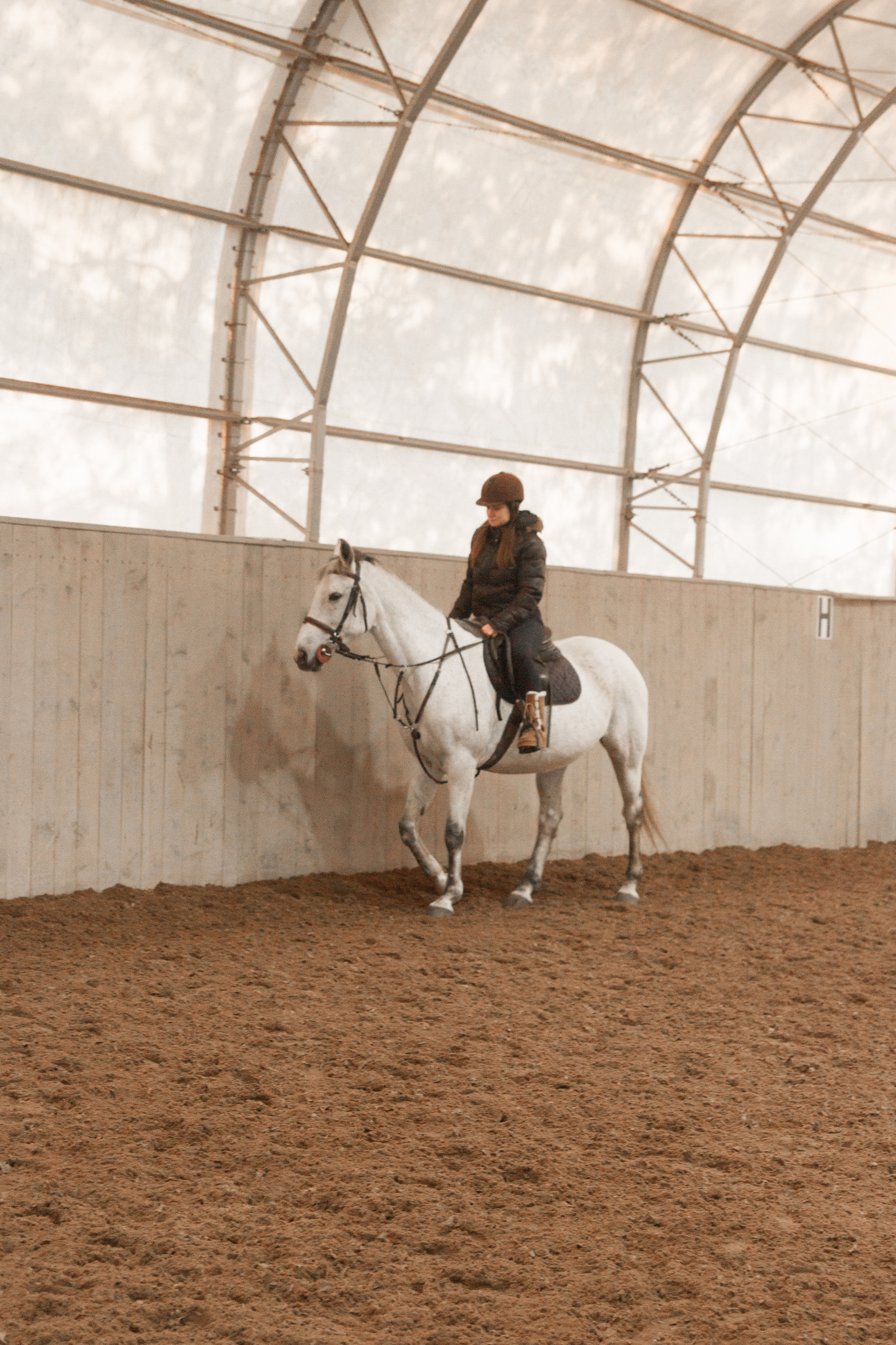 Конная прогулка. Портретный и свадебный фотограф в Москве Сергей Святной