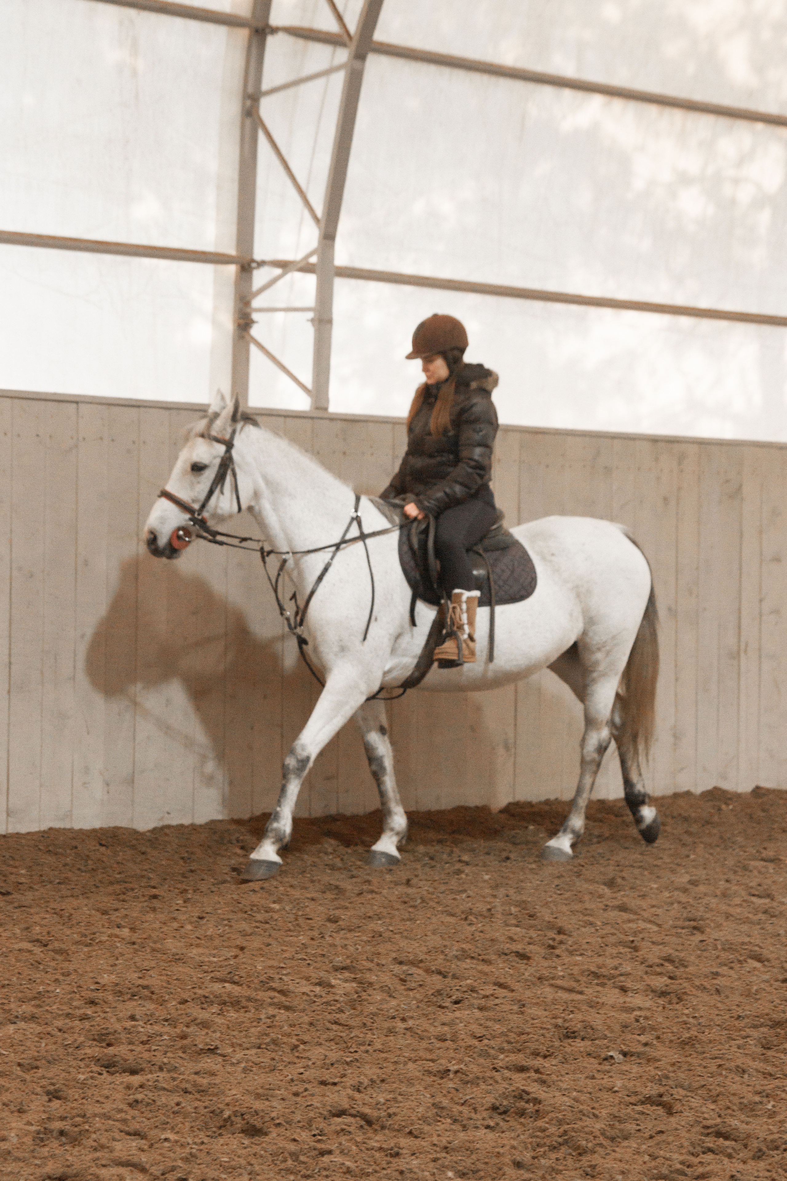 Конная прогулка. Портретный и свадебный фотограф в Москве Сергей Святной