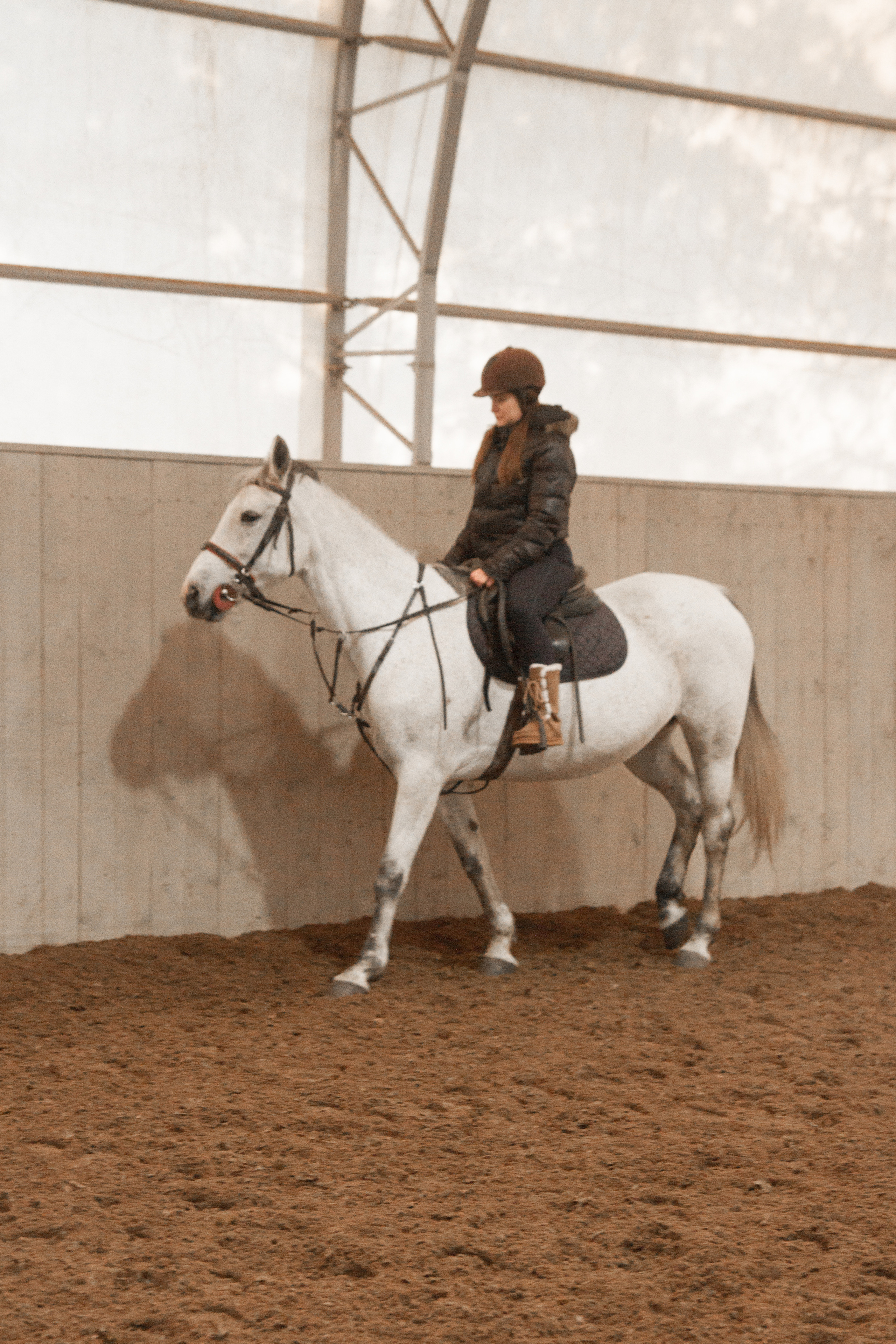 Конная прогулка. Портретный и свадебный фотограф в Москве Сергей Святной