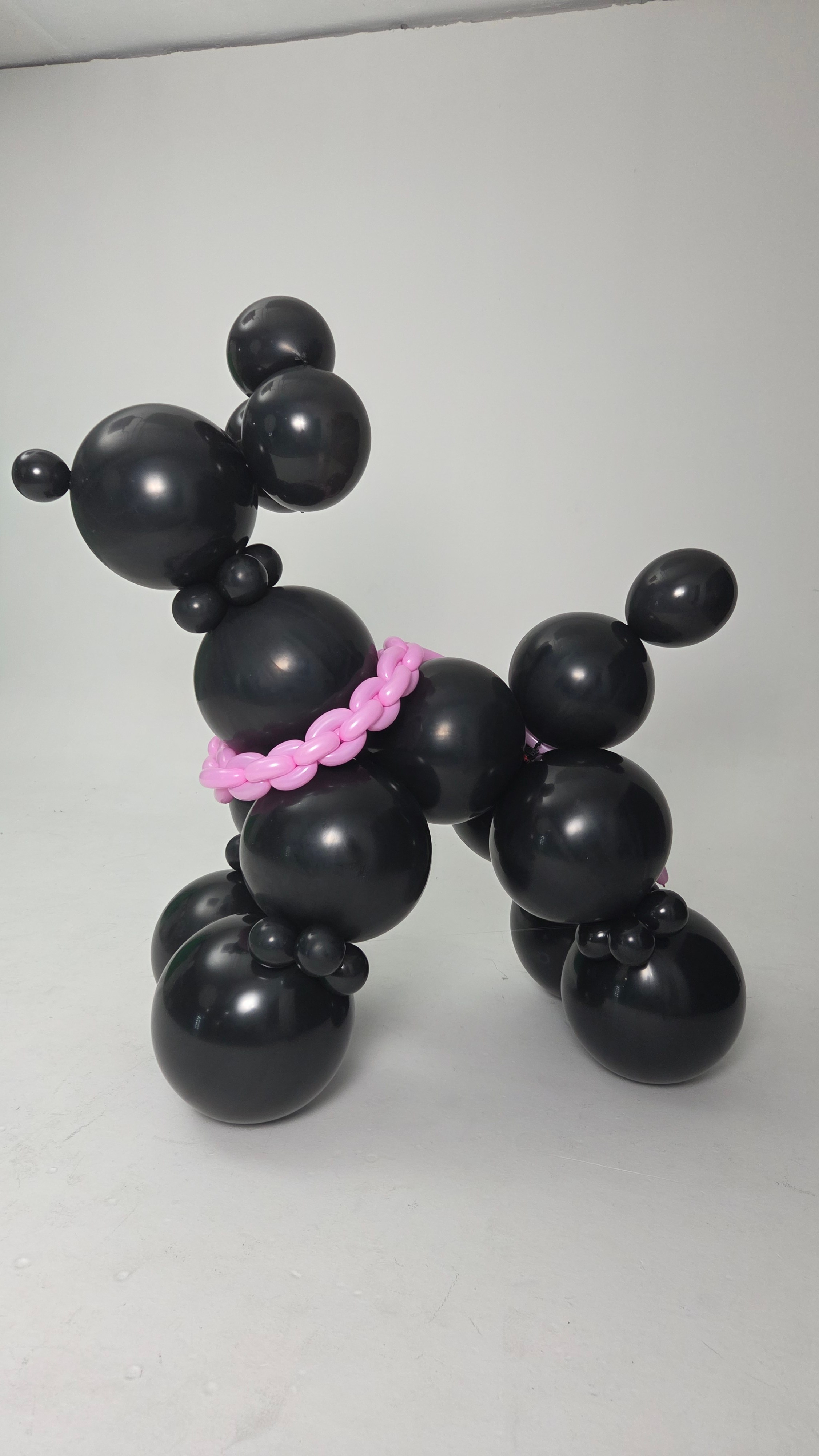 Baloni sa helijimom. Dekoracije balone. Dostava balone. Grad Novi Sad. Шары с гелием, фотозоны Нови Сад Белград. Balone i dekoracije od balona Novi Sad Beograd