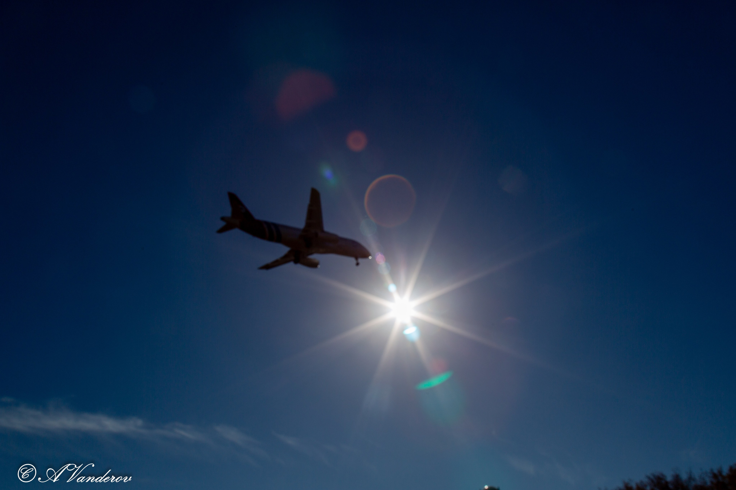 День ходьбы 2024. Фотограф Омск | Александр Вандеров