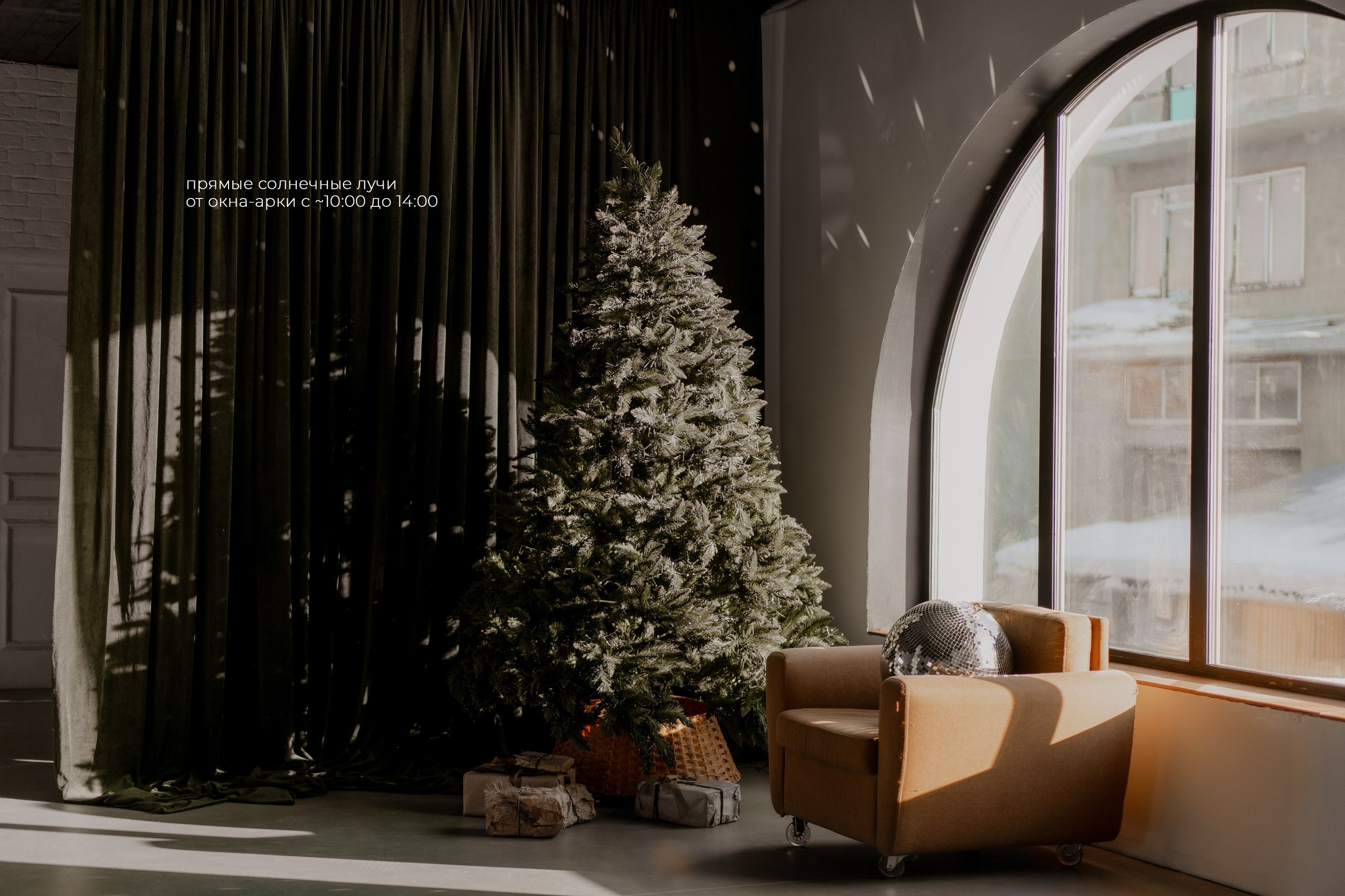 Новогодние студии Нск. Виктория Файфер| фотограф Новосибирск