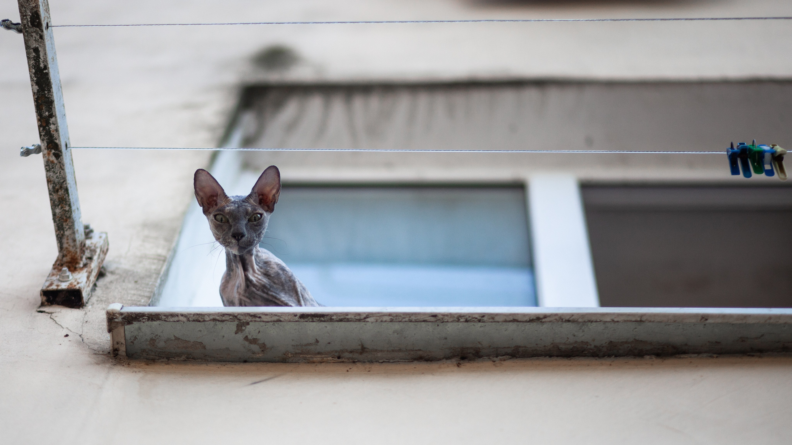 Улицы Люди на улицах Природа Животные — фотограф Оля Волчкова