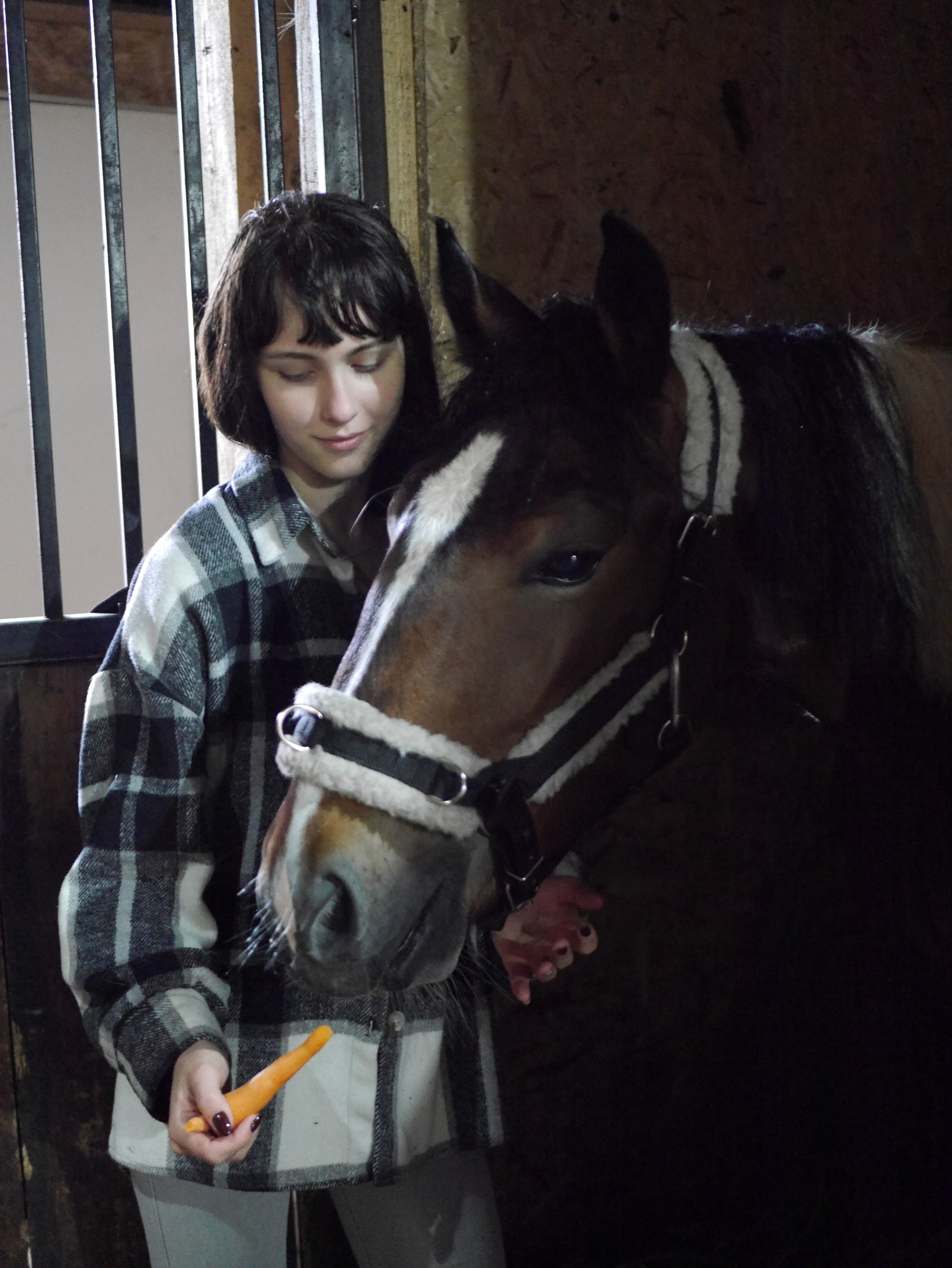 Фотосессия с конем Симоном город Тюмень