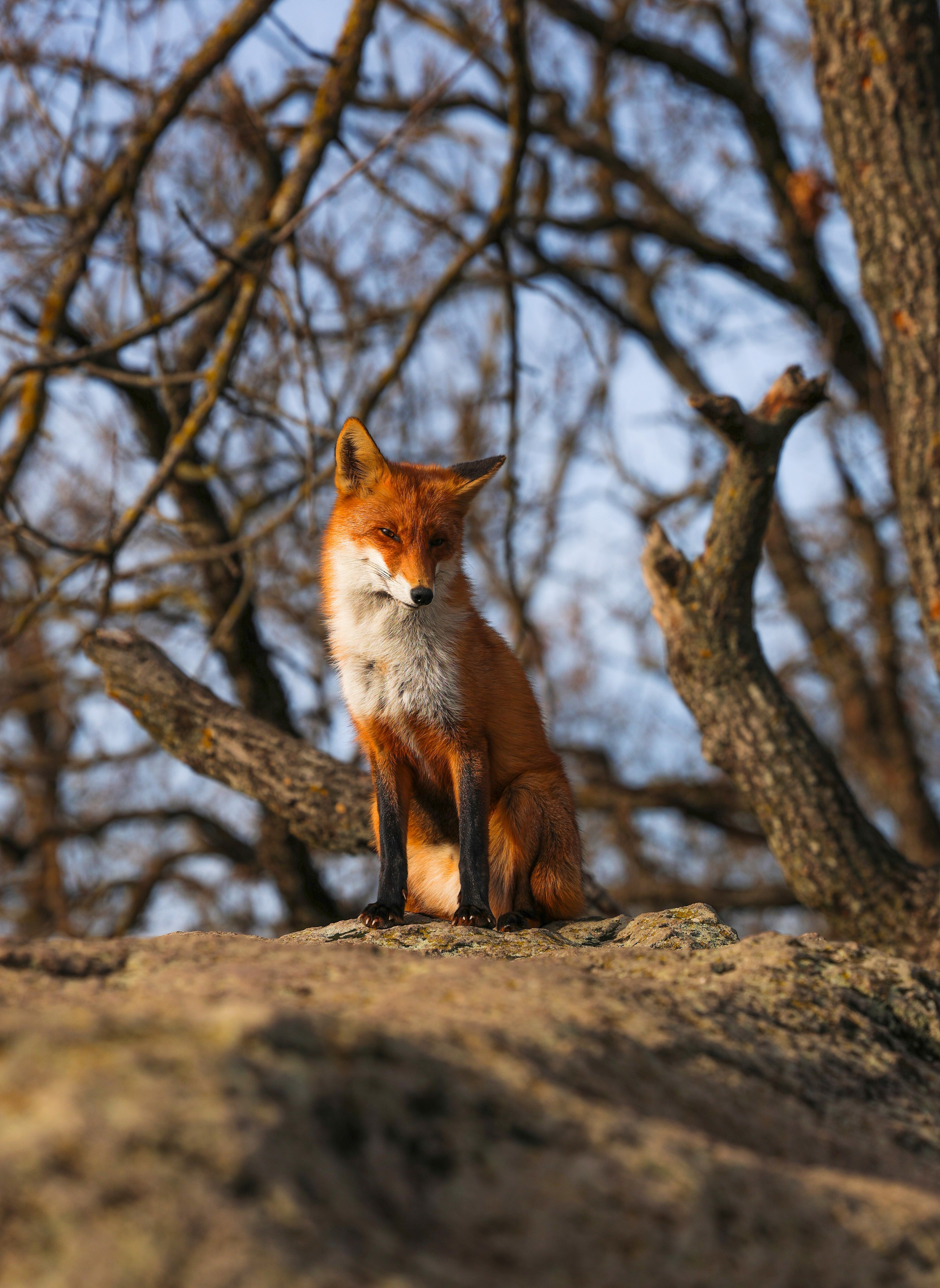 Мария Алексеева. Фотограф в Москве
