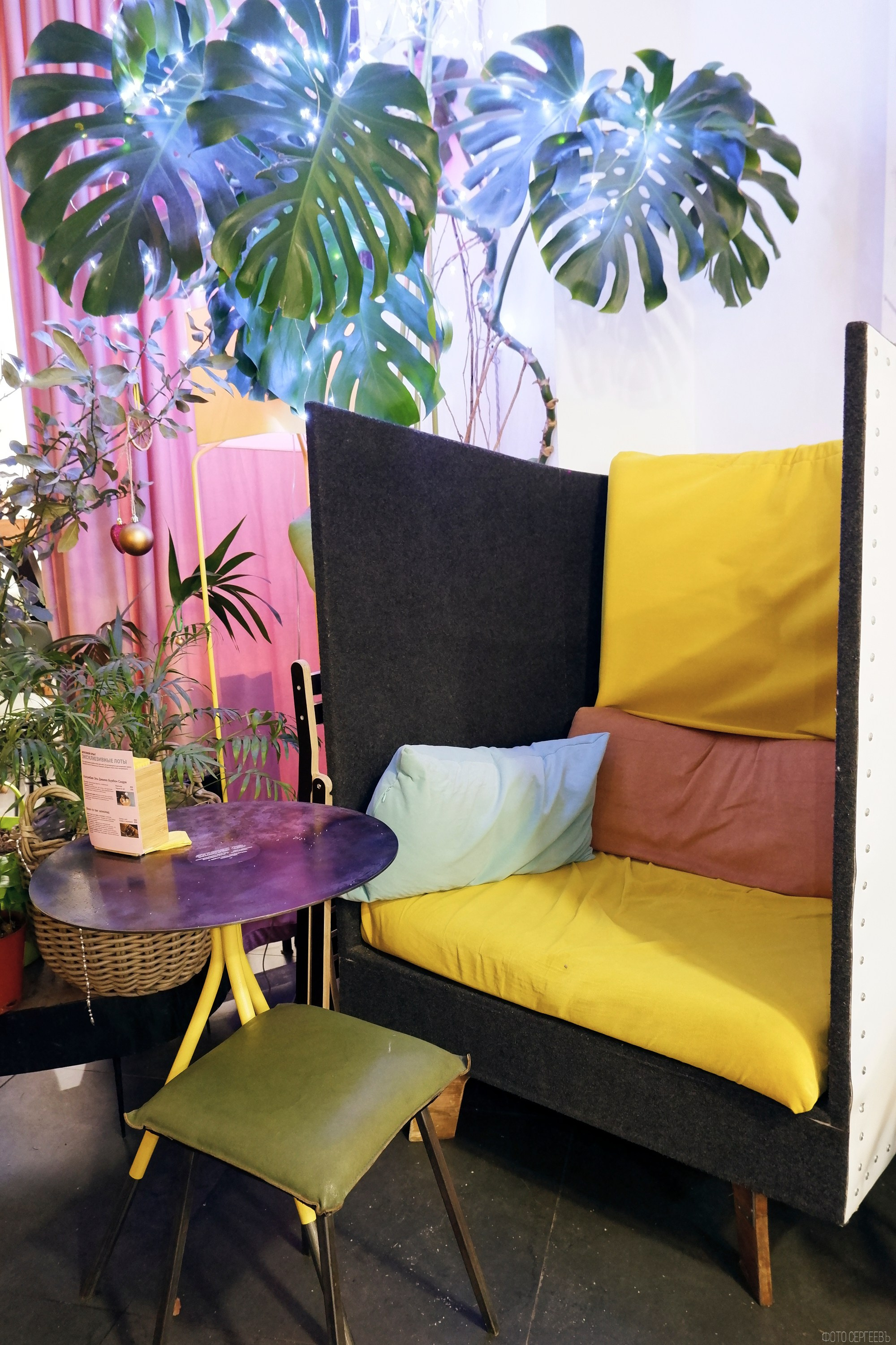 Кутята Coffee Shop. Фотографъ Сергѣевъ. Поймать мгновеніе