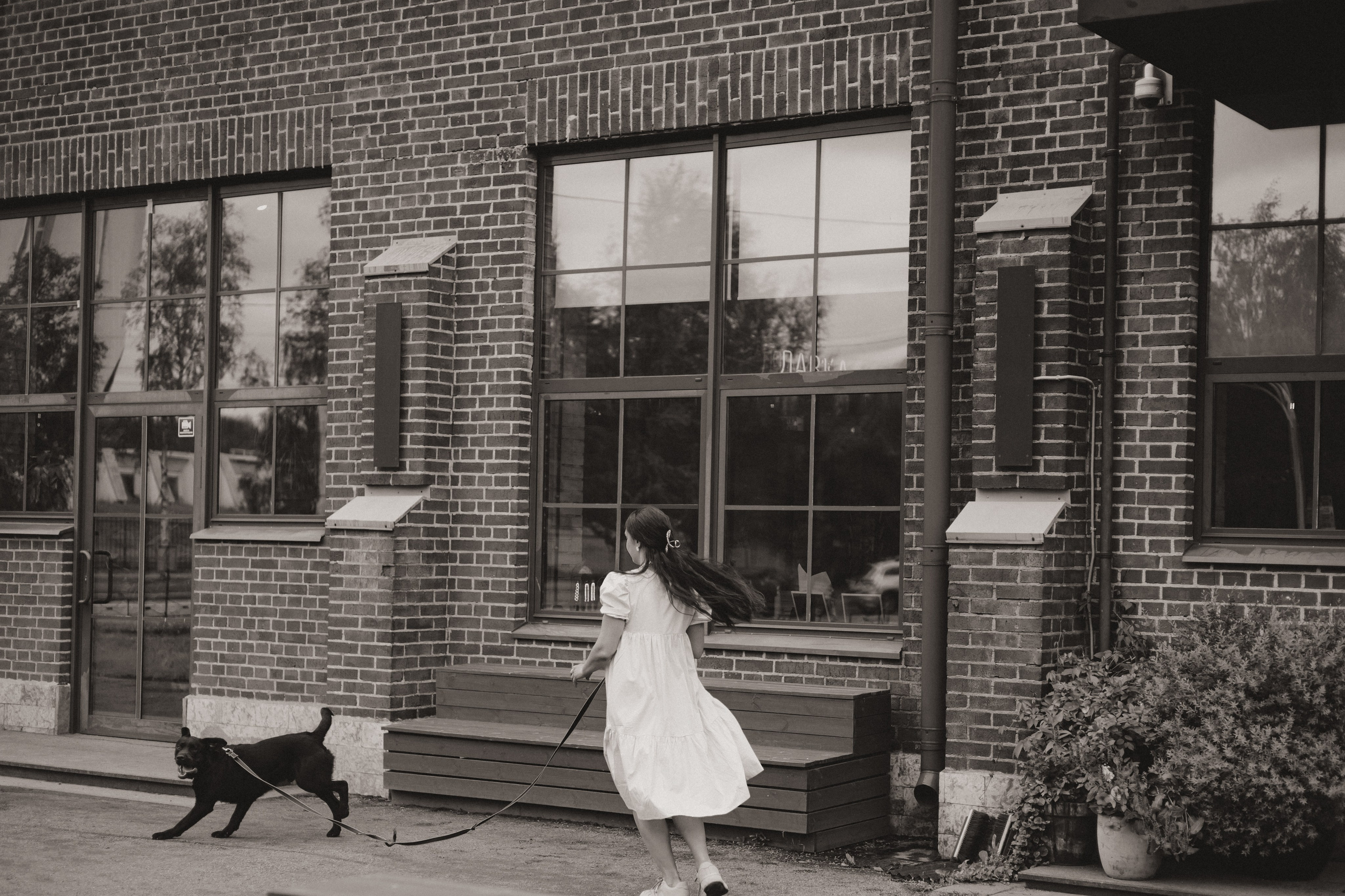 Оля и её шоколадный Тимофей. Фотограф — анималист •love-story•|Санкт-Петербург