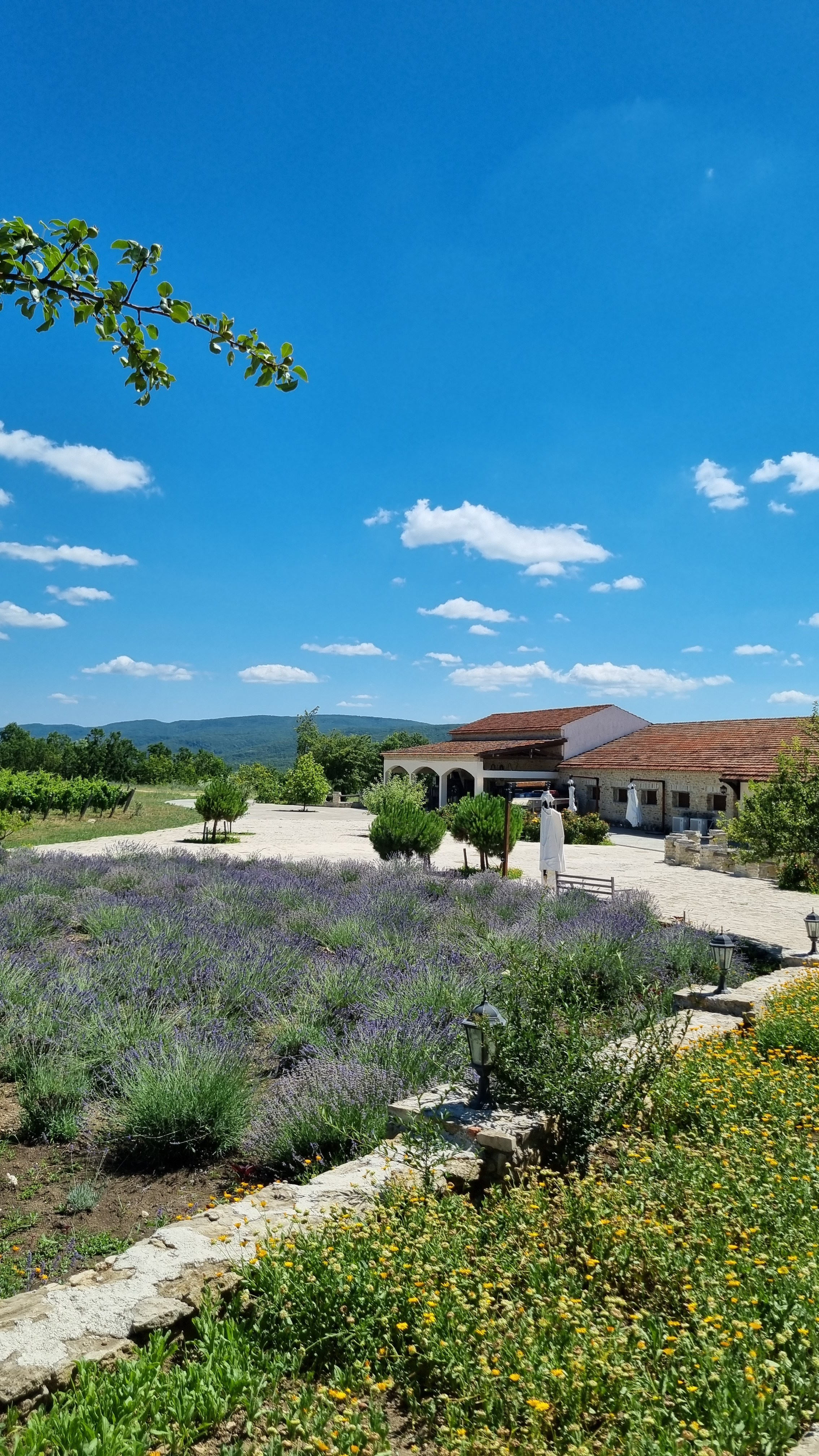 МЕСТА ДЛЯ ФОТОСЕССИИ В АНАПЕ. Свадебный и семейный фотограф/видеограф в Краснодаре Наталья Осинская