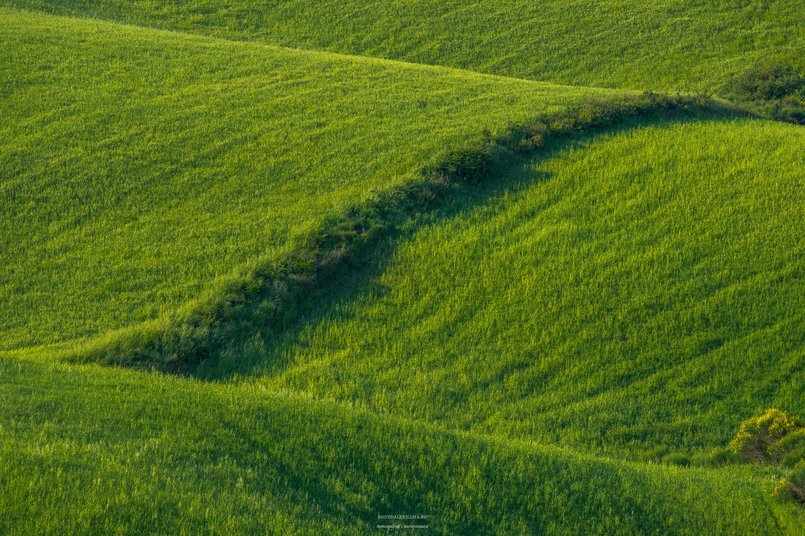 Долина Крете Сенези (Crete Senesi). Авторские стильные фотокартины