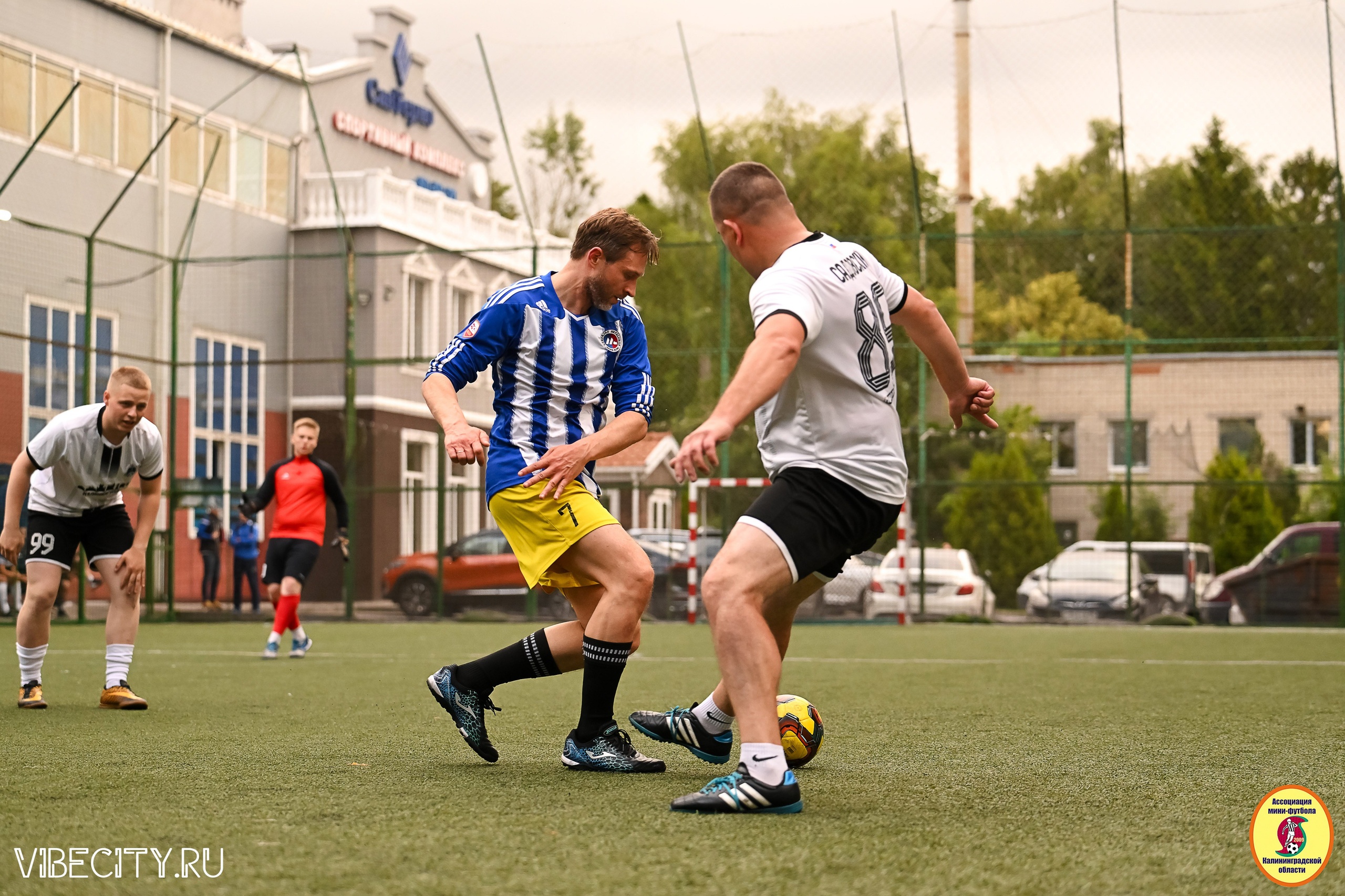 ИГРЫ МИНИ-ФУТБОЛЬНОЙ И КОРПОРАТИВНОЙ ЛИГИ. VIBECITY.RU Вайб Сити Ру Фоторепортажи Фотоотчеты Калининград
