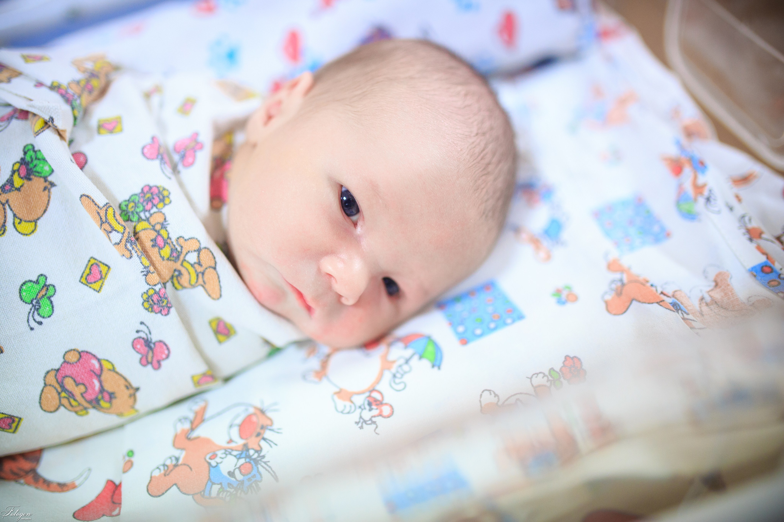 Фотосессия выписки из роддома в Краснодаре | Видеосъемка выписки. Интерьерная фотостудия FOTOGEN г. Краснодар