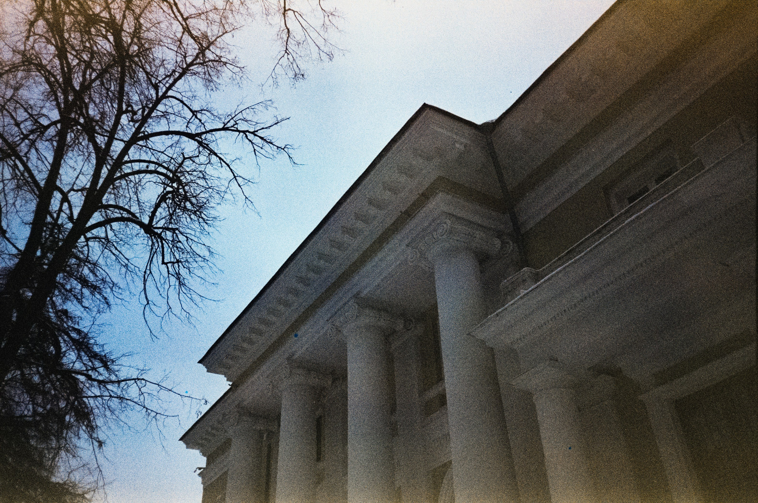 Fujicolor Superia 200 (просрочка) / Cosina CX-1 / 6 января 2025 года Усадьба Архангельское