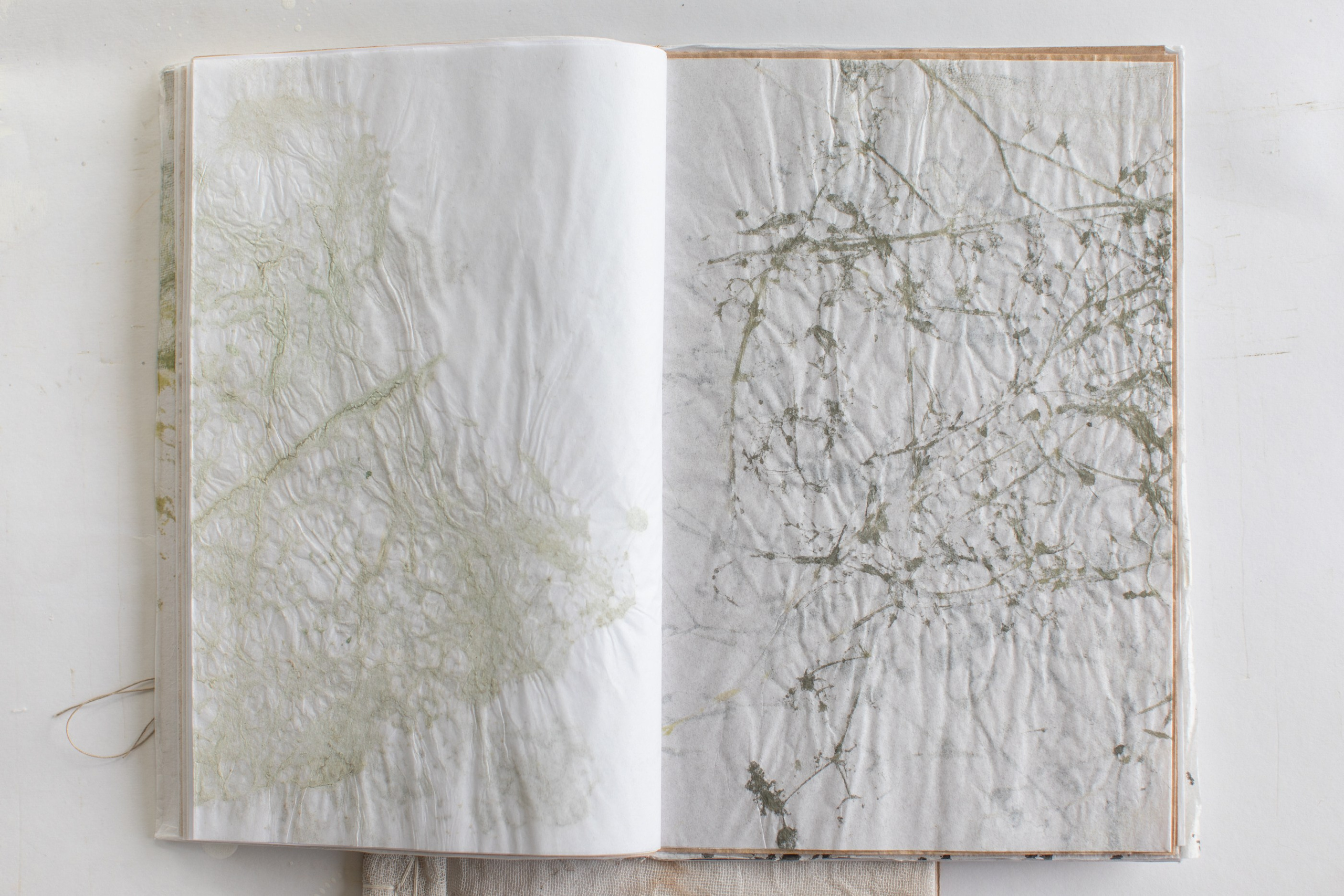 Подсосенские тетради. Natalya Madilyan