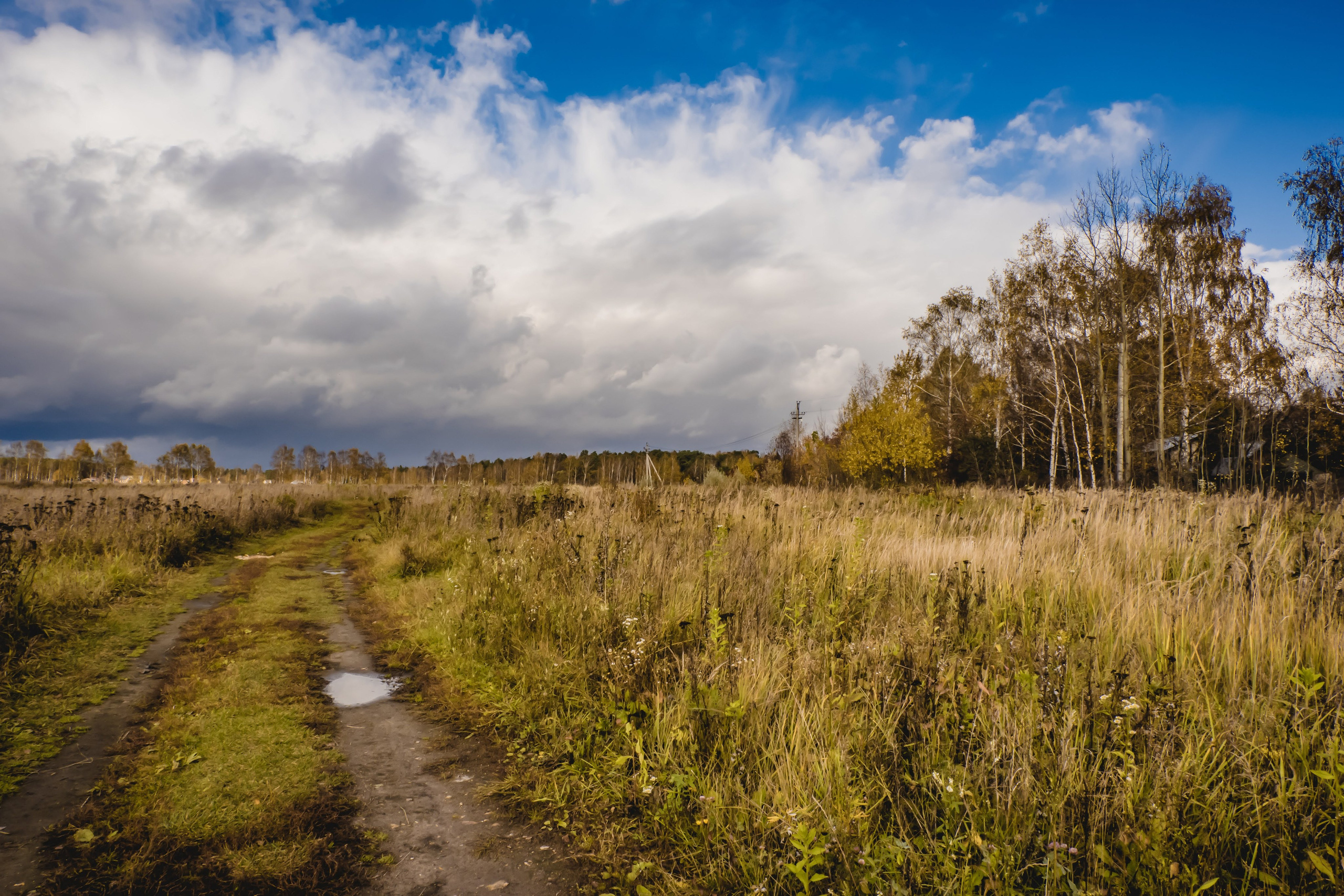 ANTONOVLABEL — Art & Handmade