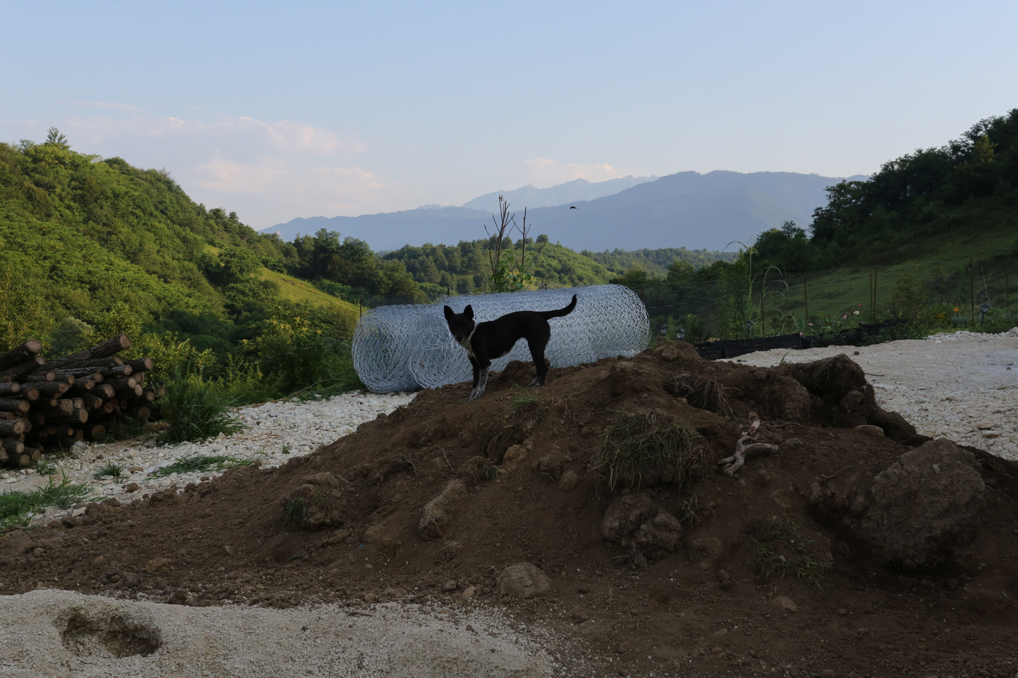 Ar Idardo. Marina Doctorova