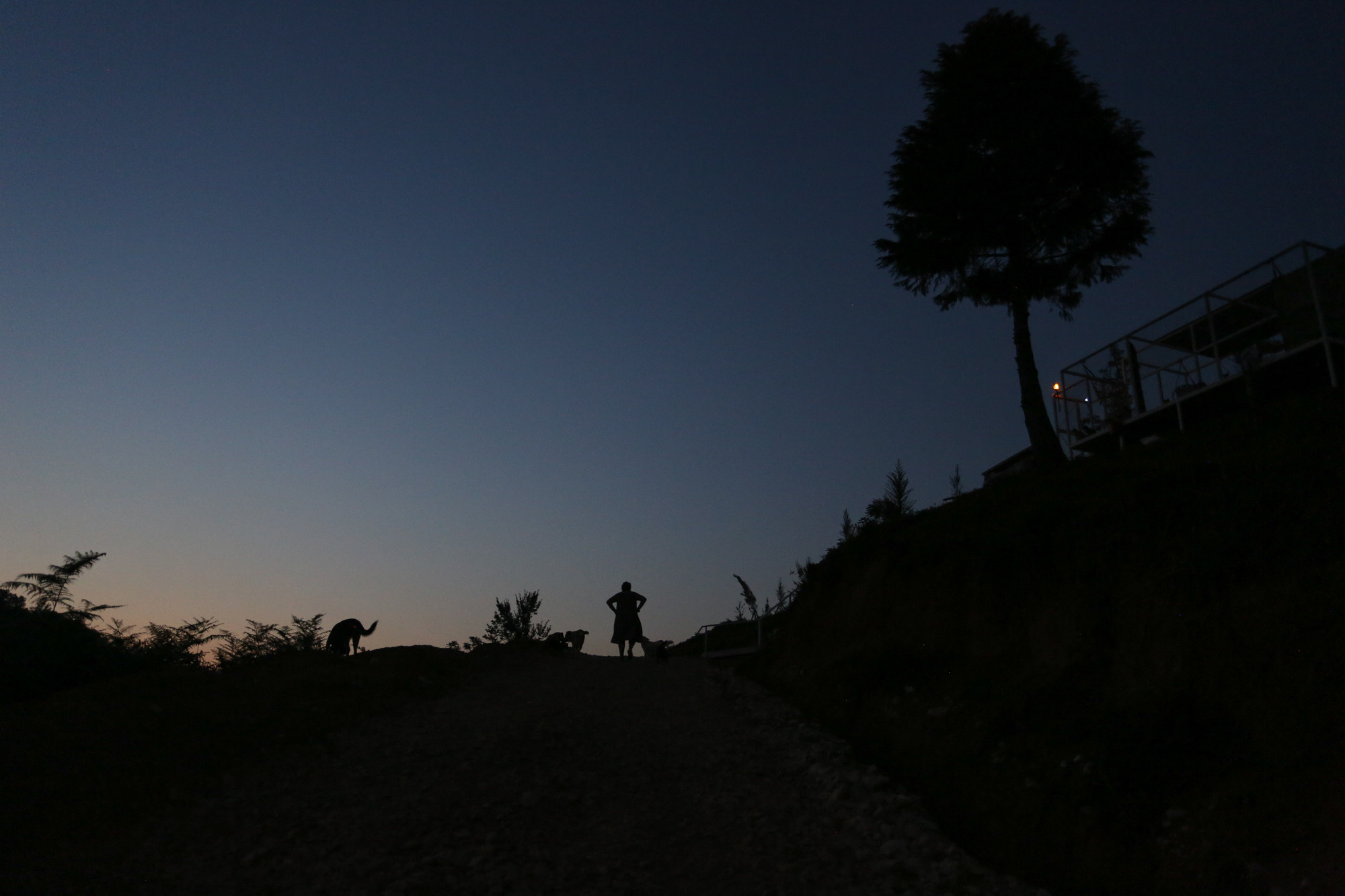 Ar Idardo. Marina Doctorova