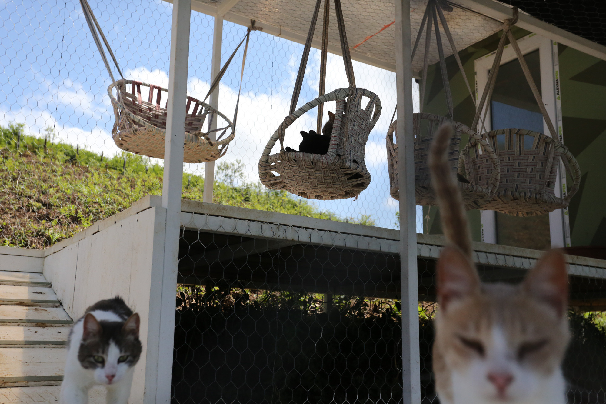 Ar Idardo. Marina Doctorova