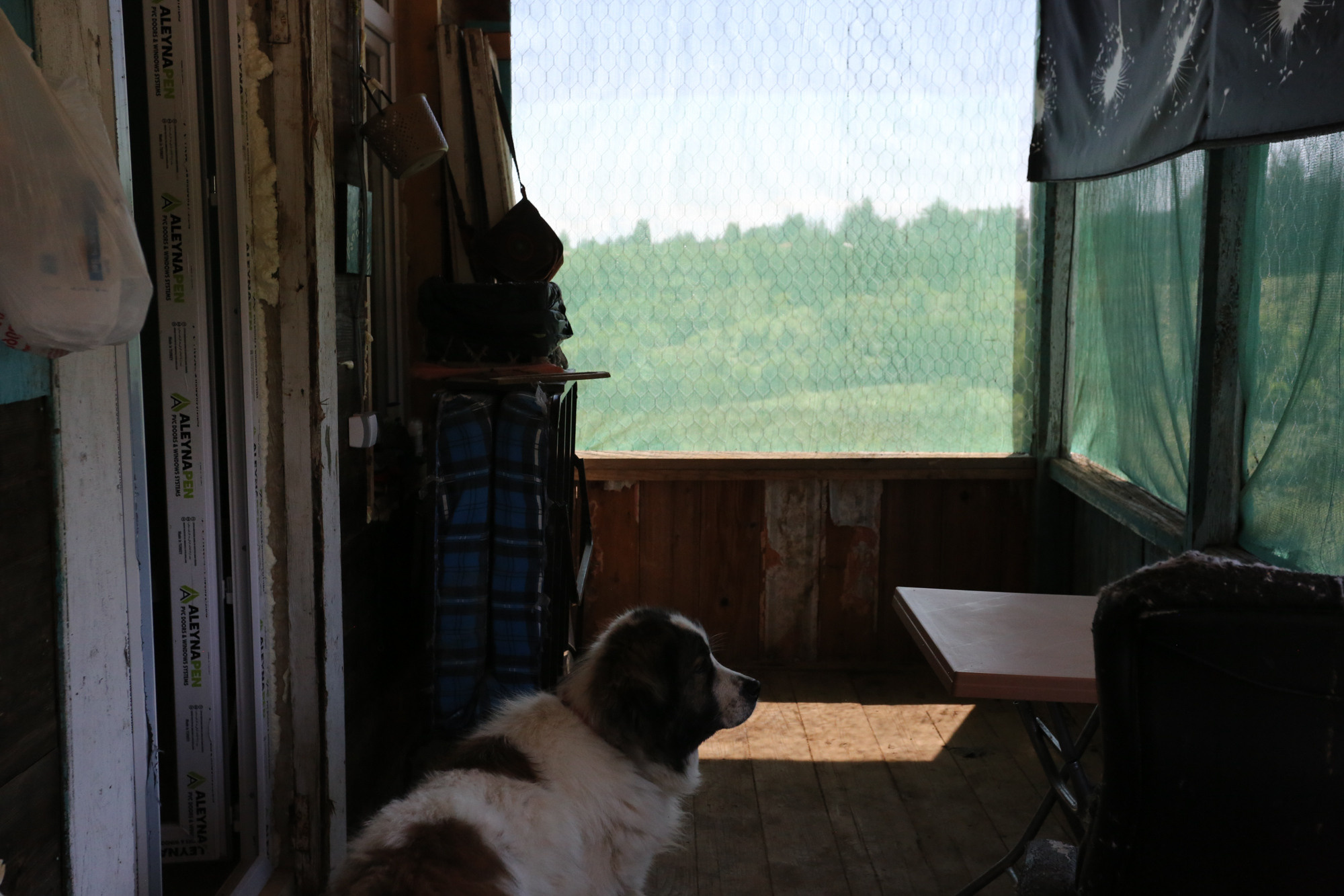 Ar Idardo. Marina Doctorova