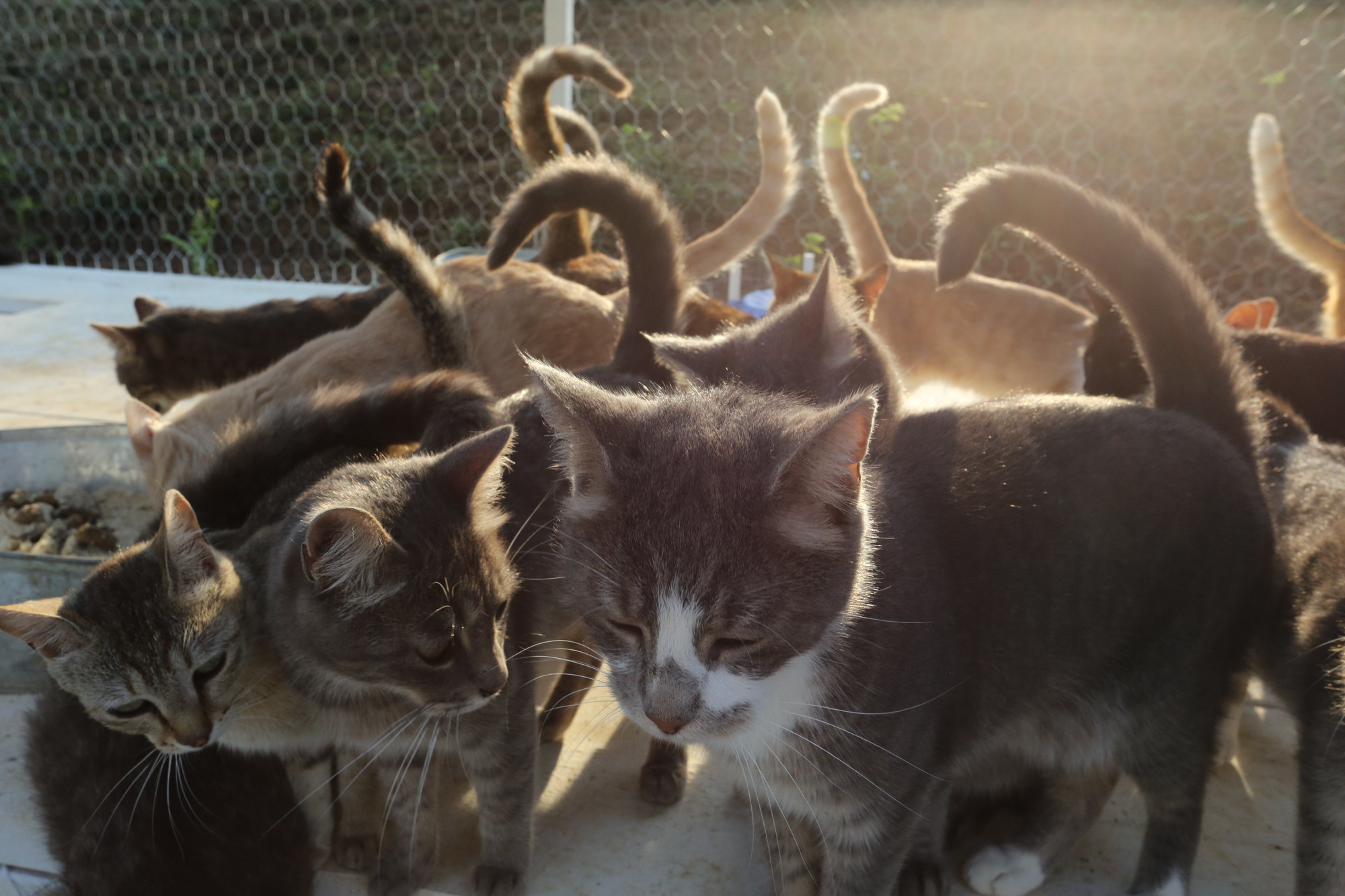 Ar Idardo. Marina Doctorova