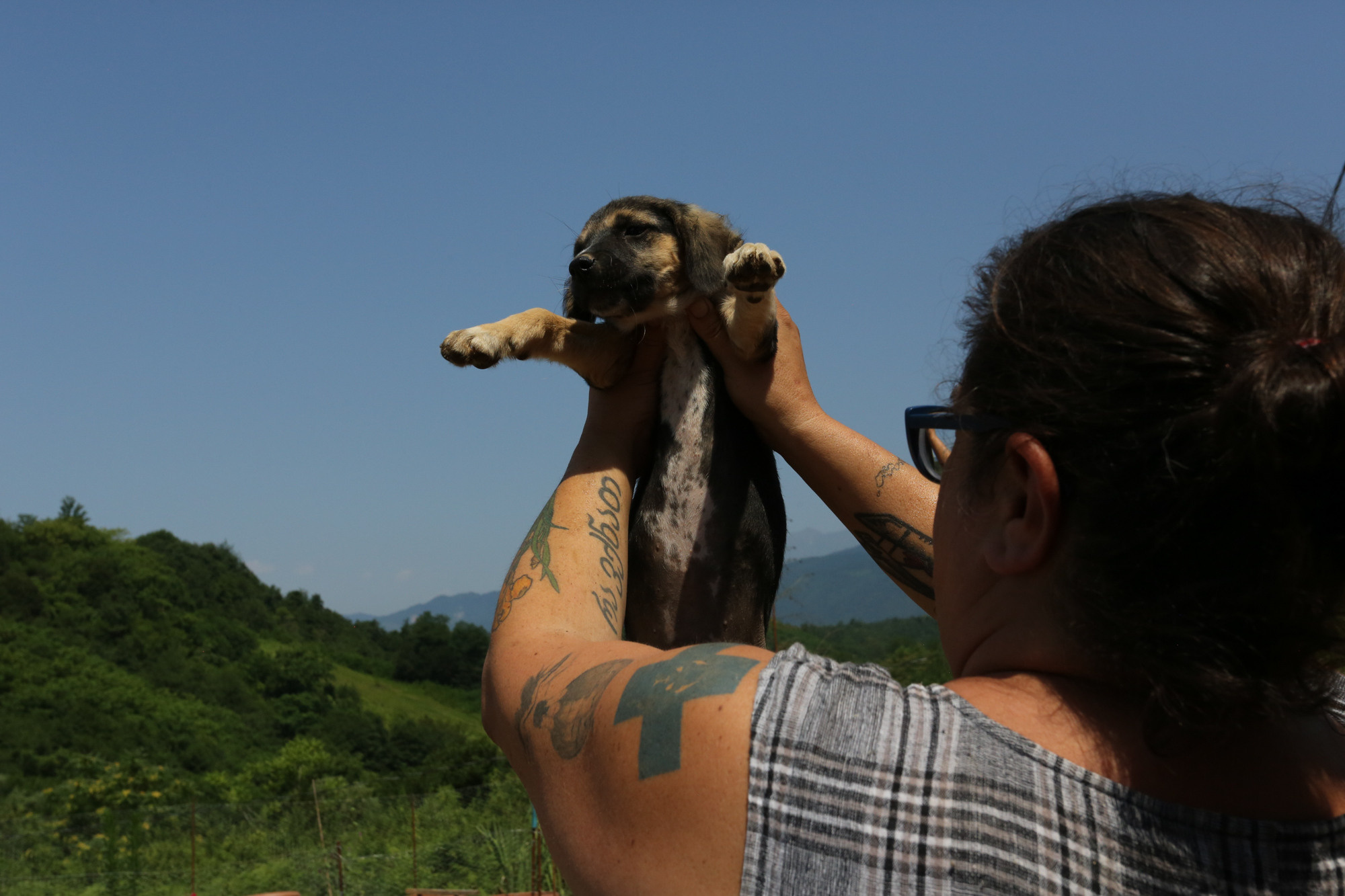 Ar Idardo. Marina Doctorova