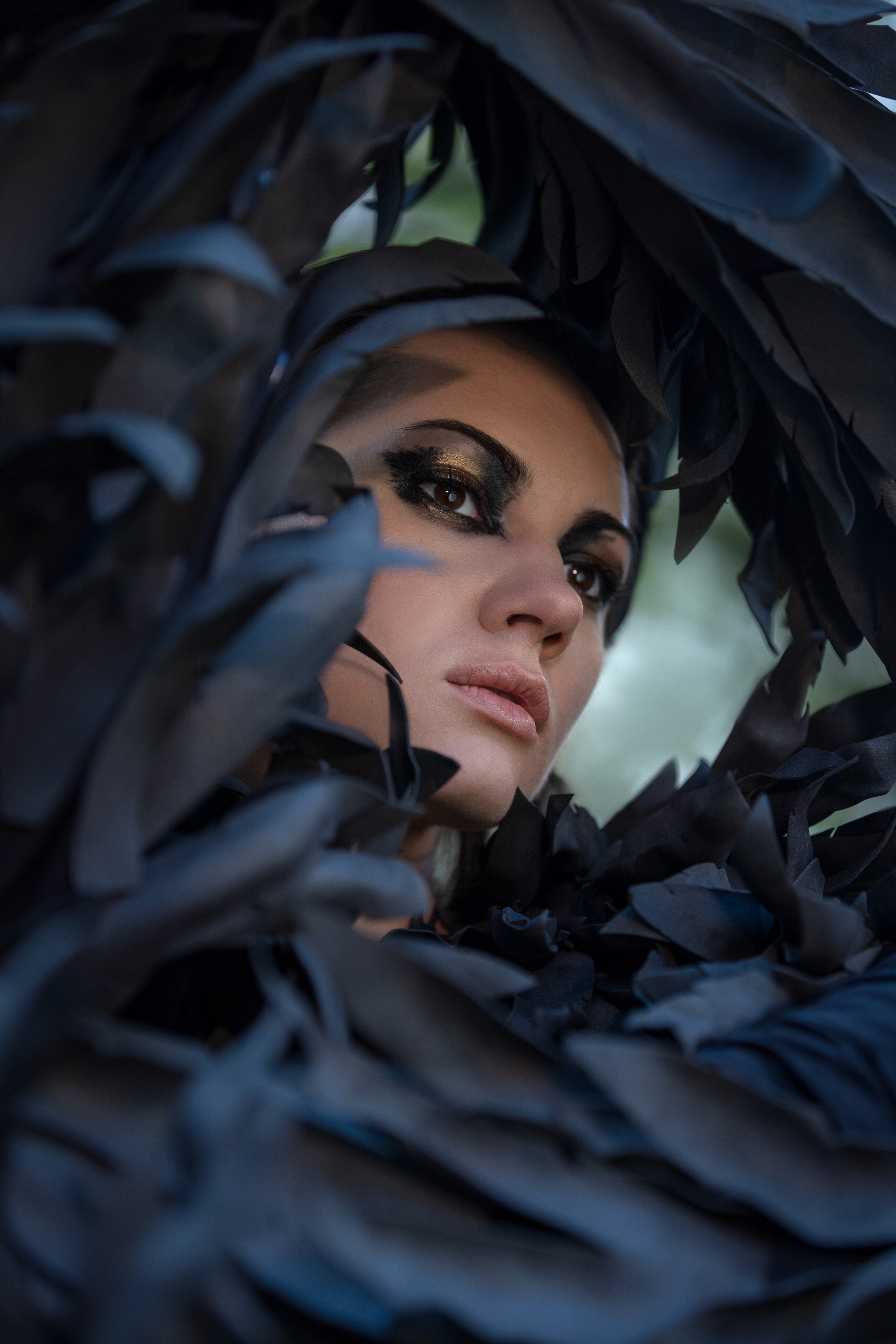 Sirin. Kalinin Dmitry Photography | Saint Petersburg