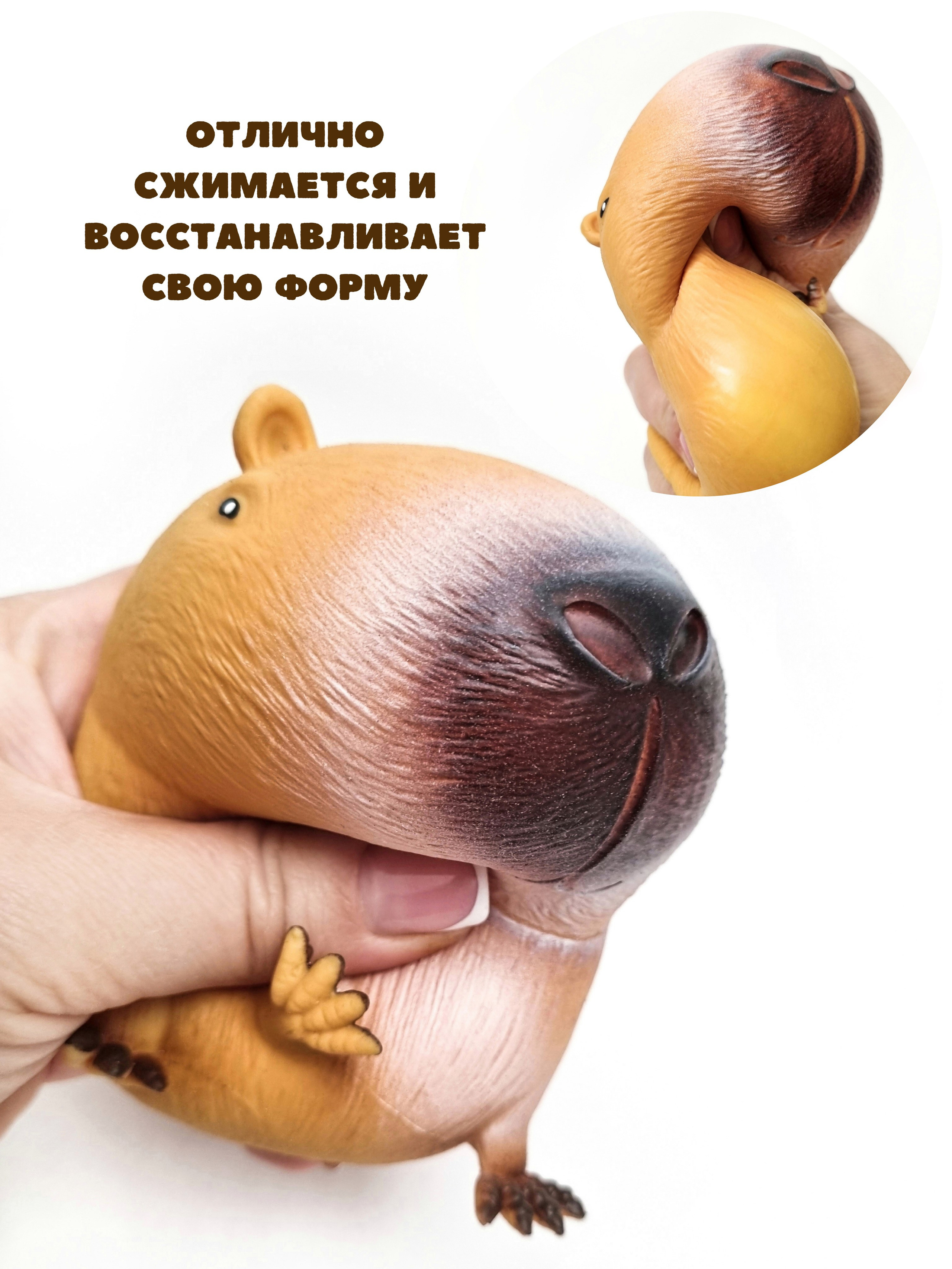 СКВИШИ антистресс. Женский, семейный и контент-фотограф в Оренбурге Анна Соловых