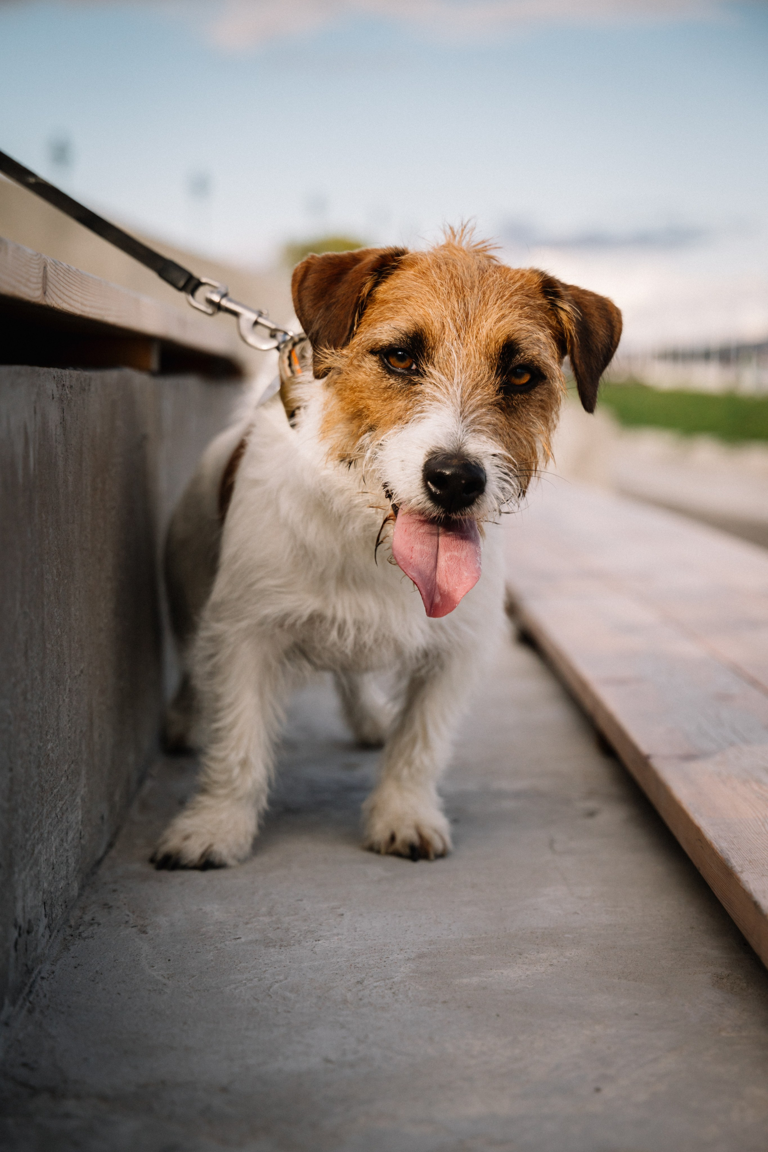 Семейный, репортажный, десткий фотограф Комсомольск-на-Амуре