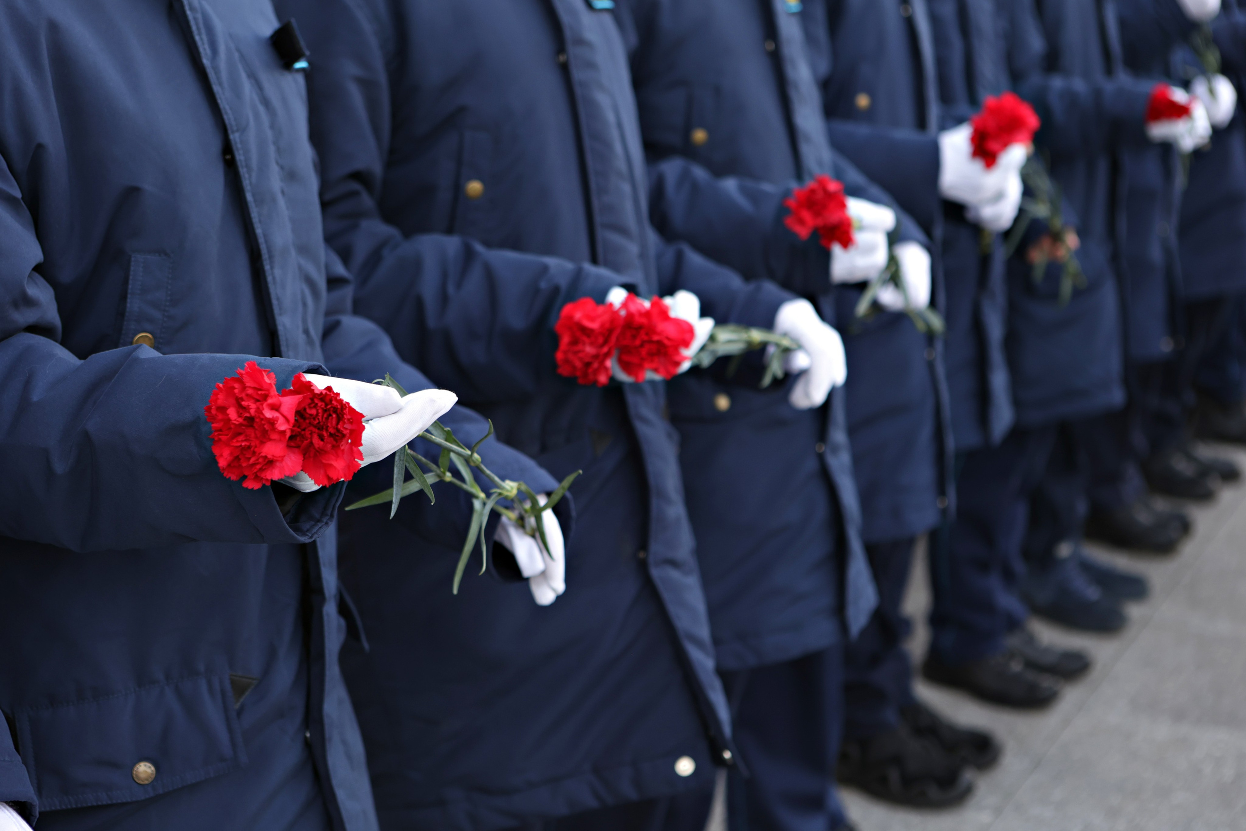 Гвоздика кадеты Подольск построение