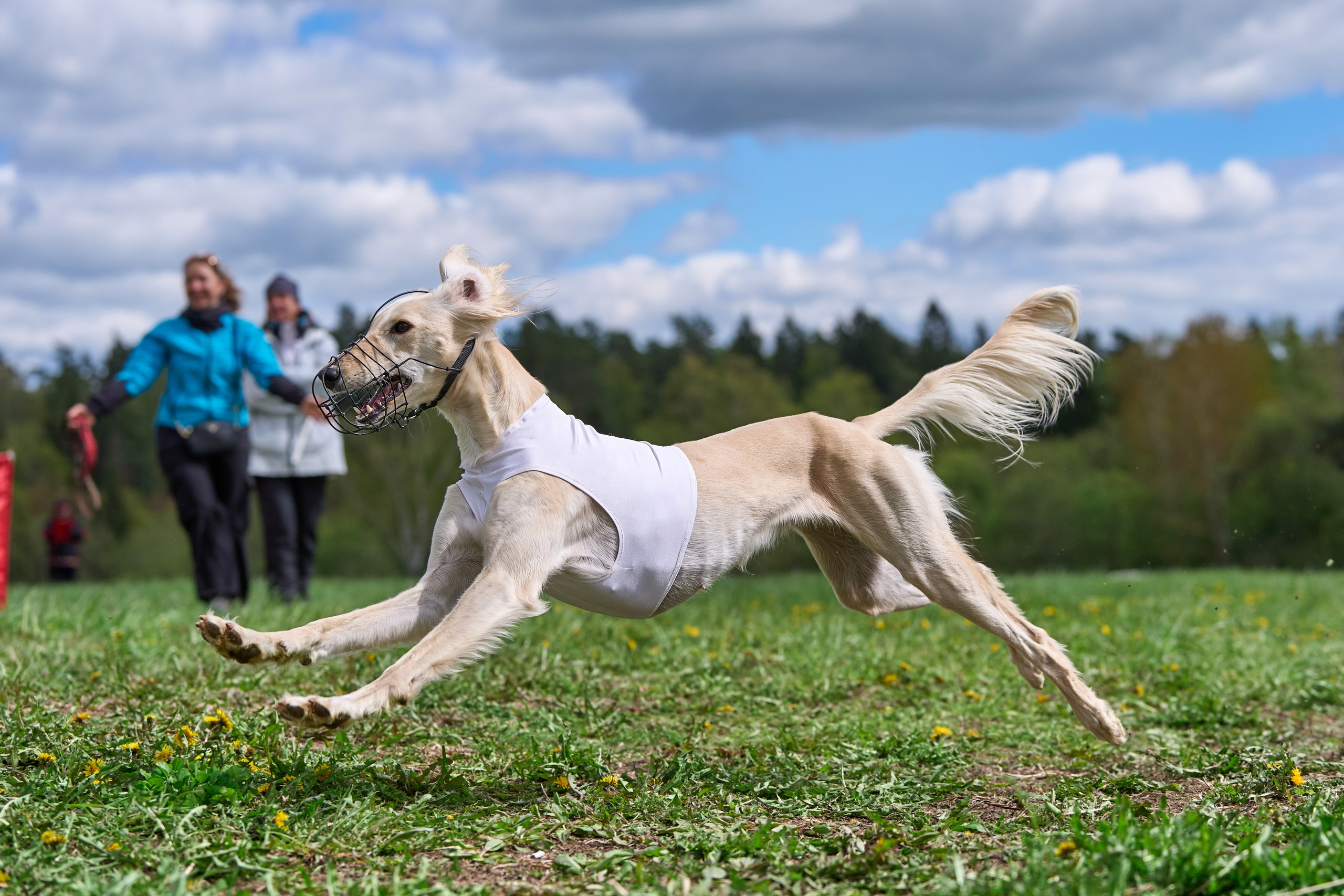 ПЧРКФ по курсингу. Фотограф-анималист Михаил Манухин