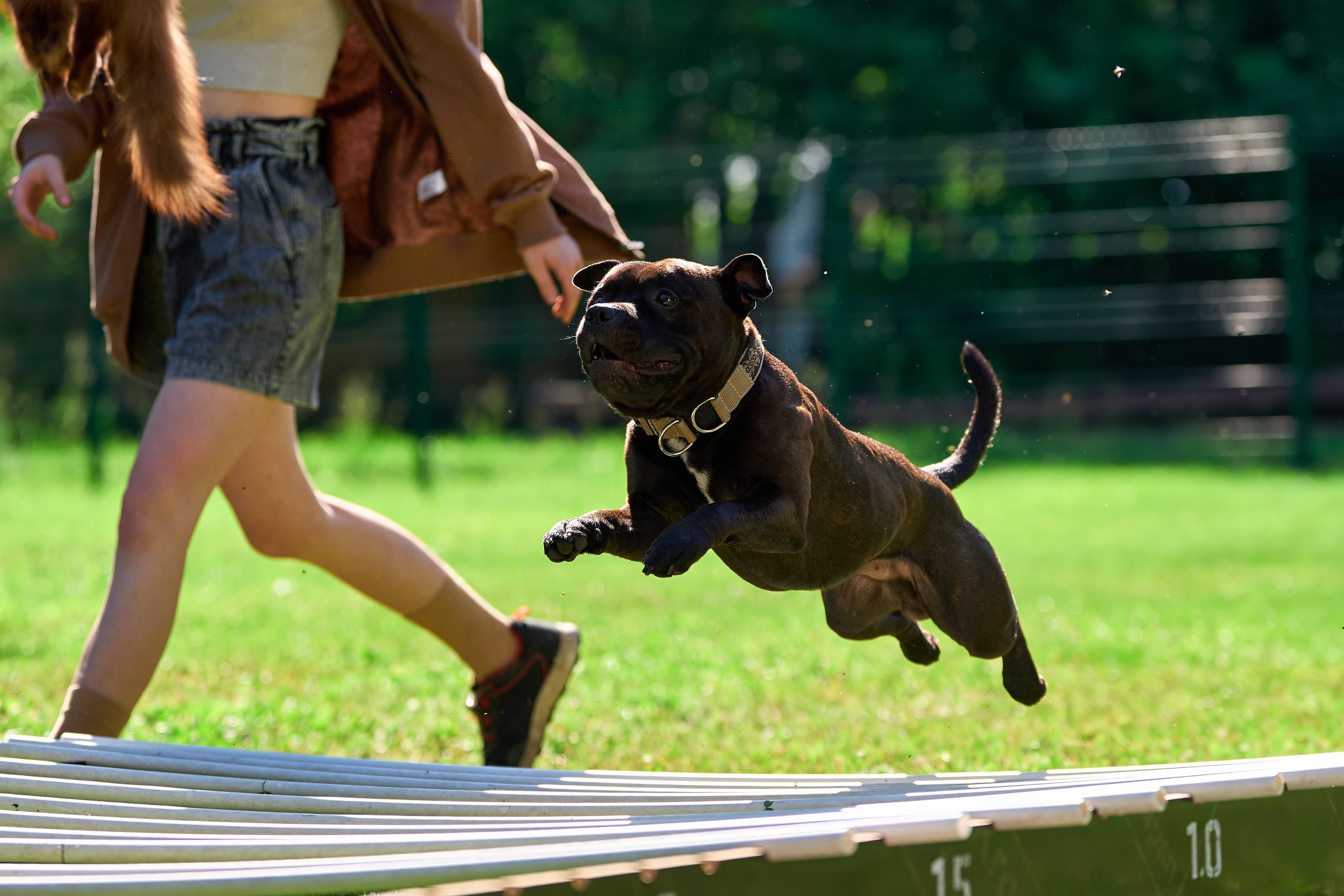 Двухдневные соревнования «Jump'n'Gym Fest — 2024». Фотограф-анималист Михаил Манухин