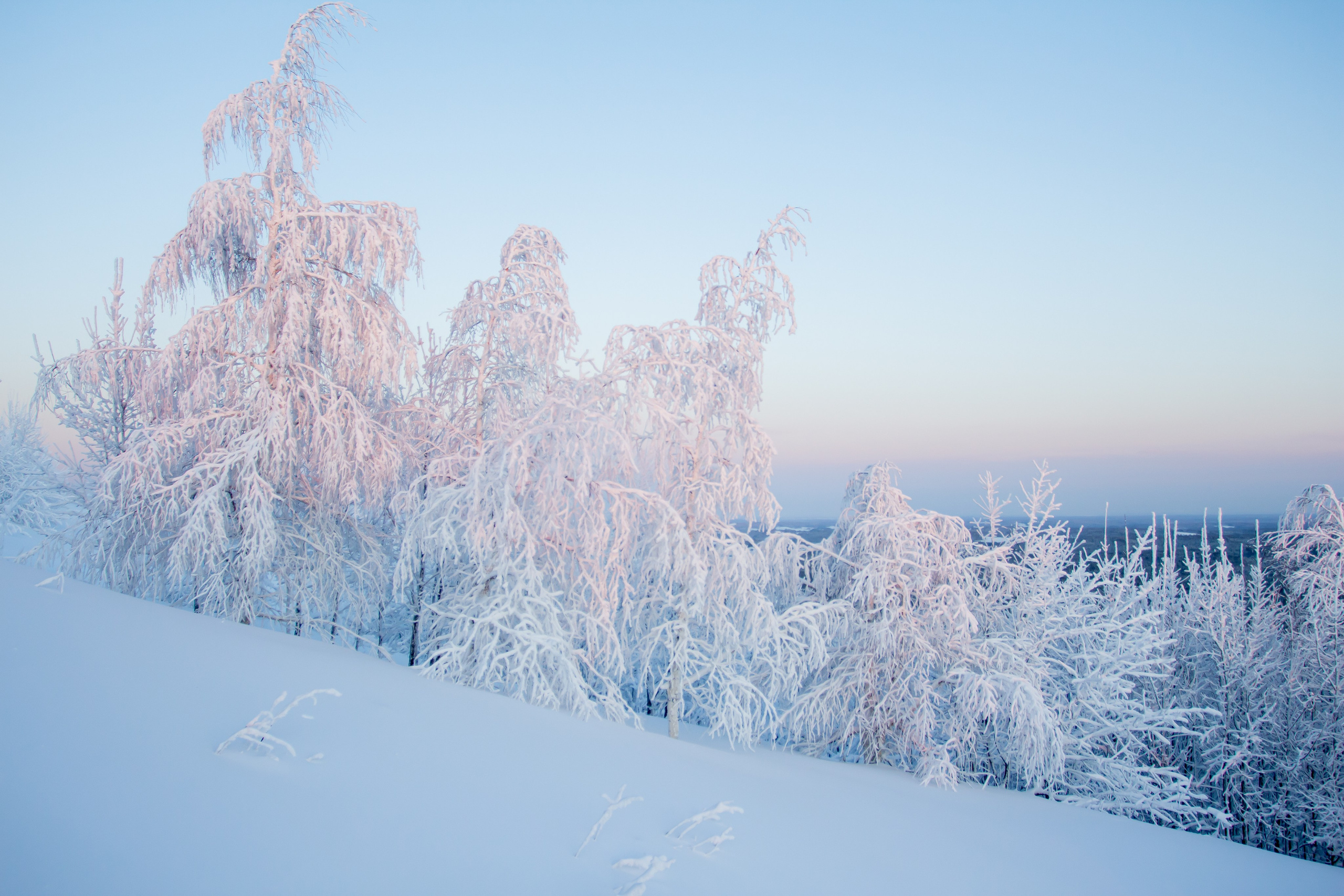 Белогорский Свято-Николаевский мужской монастырь. Январь, 2023 год. Фотограф Переверзева Анна Екатеринбург