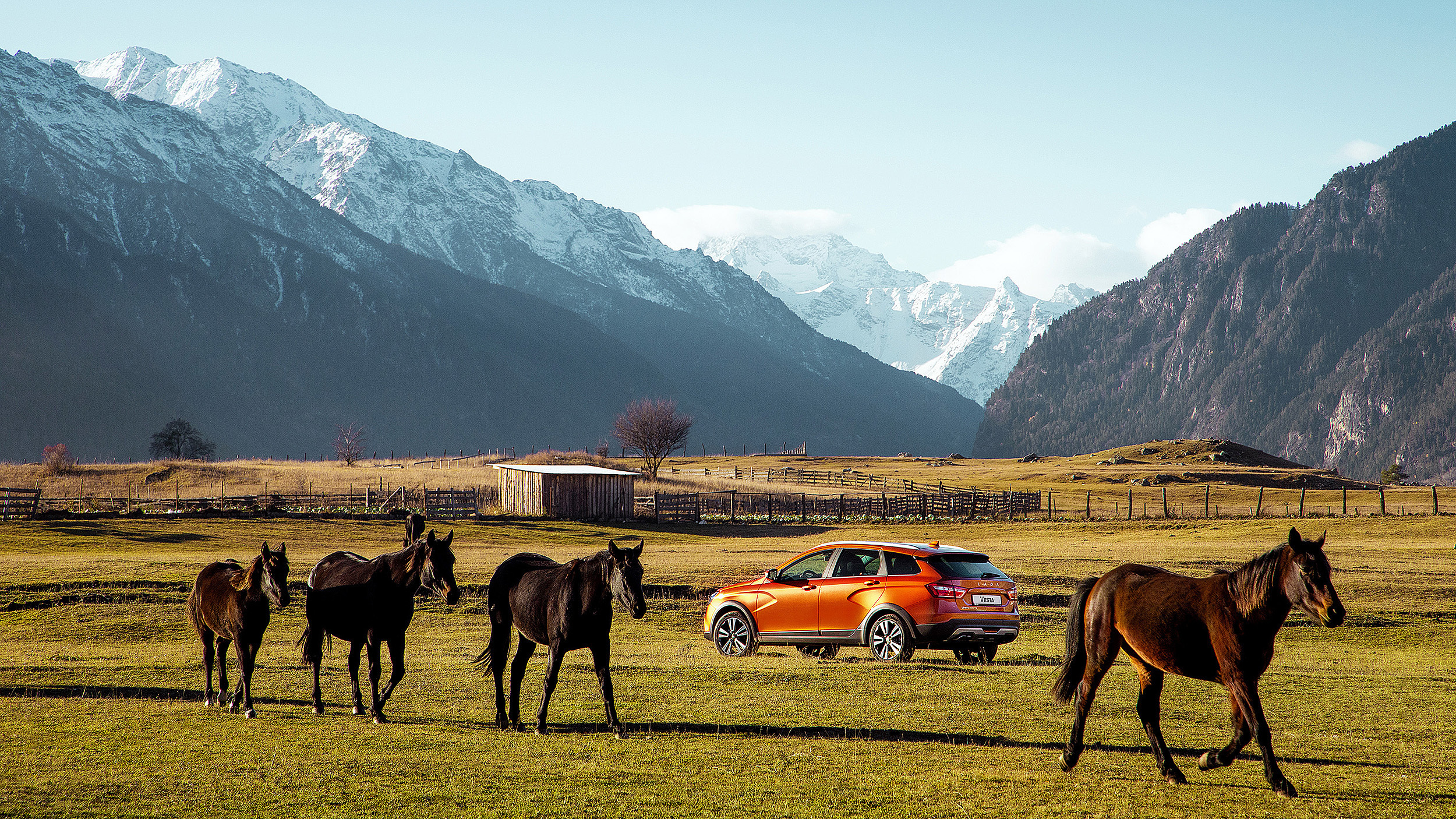 Гуру мировой свадебной фотографии Александр Ноздрин, г. Москва и весь