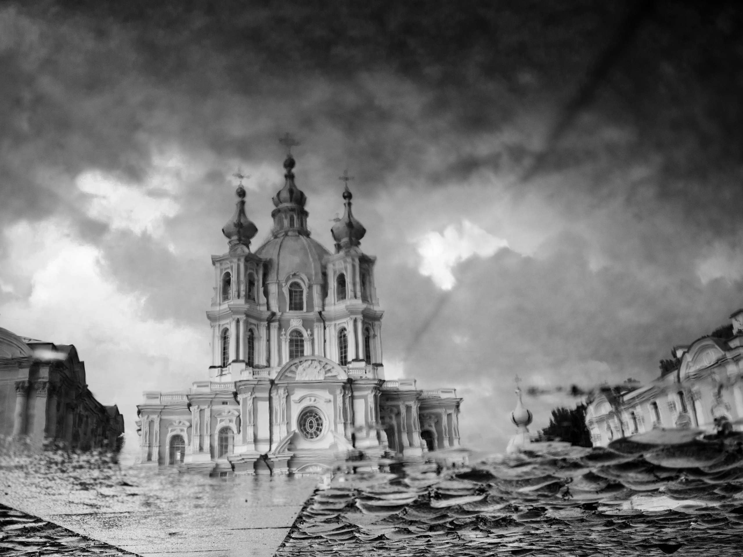 Принты. Фотограф Вера Фролова