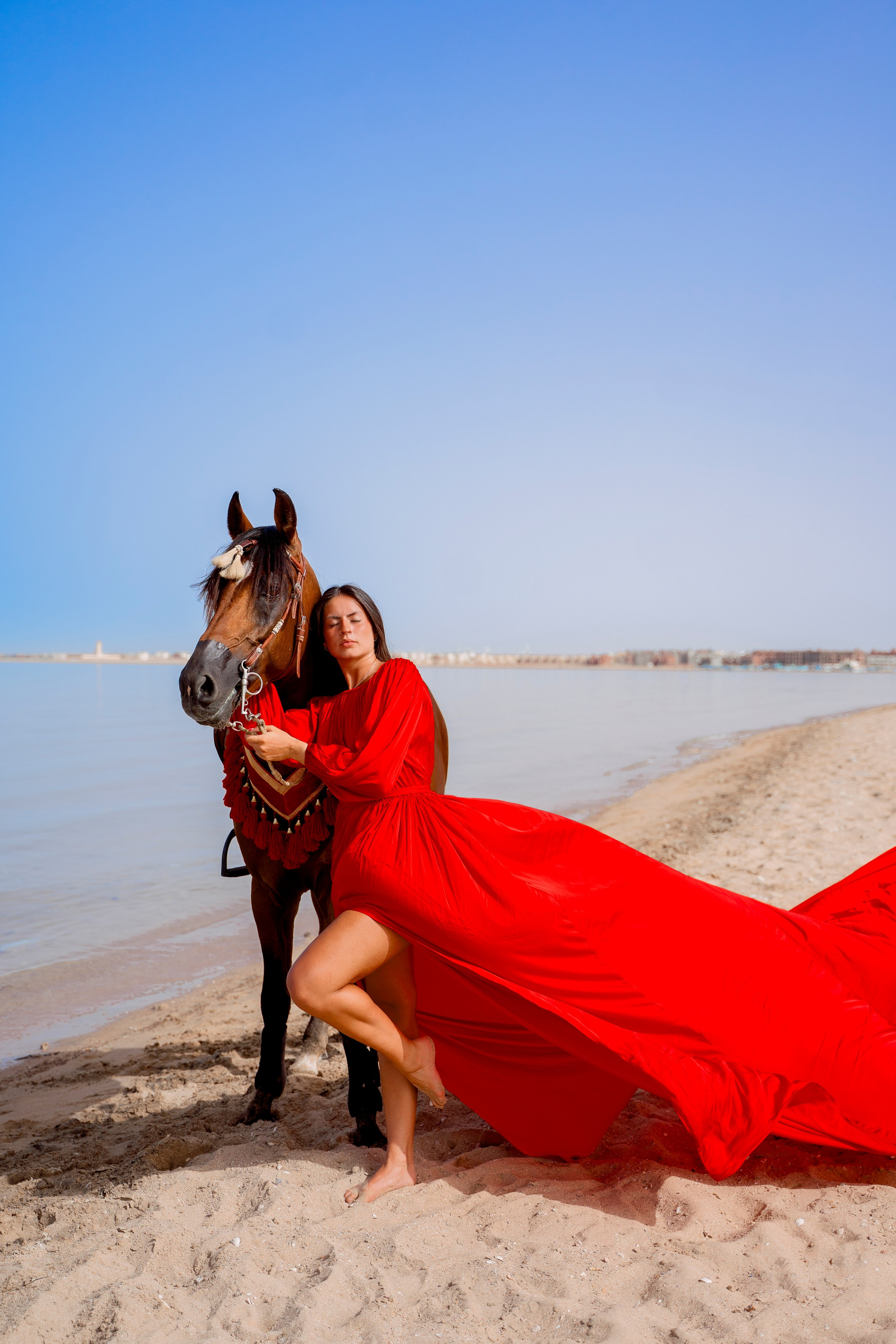 Фотосессия с лошадью на море. Photographer in Egypt, Hurghada, Luxor, Safaga