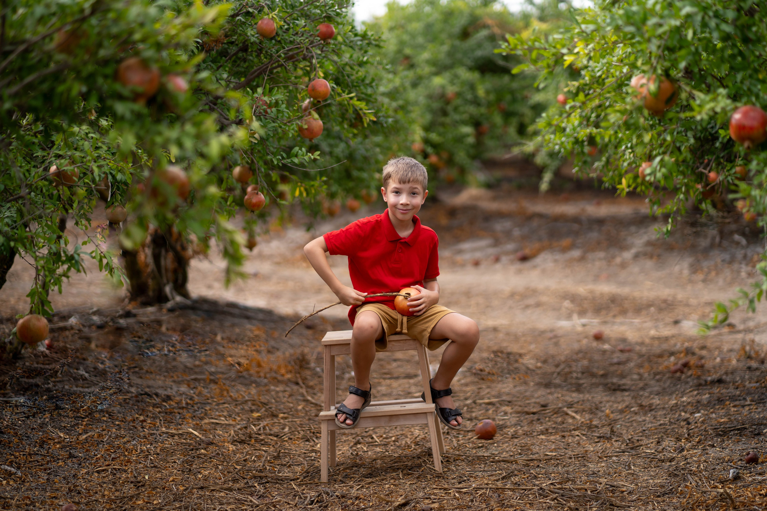 Гранатовый сад. Семейный и детский фотограф в Израиле и Москве Дорошок Надя