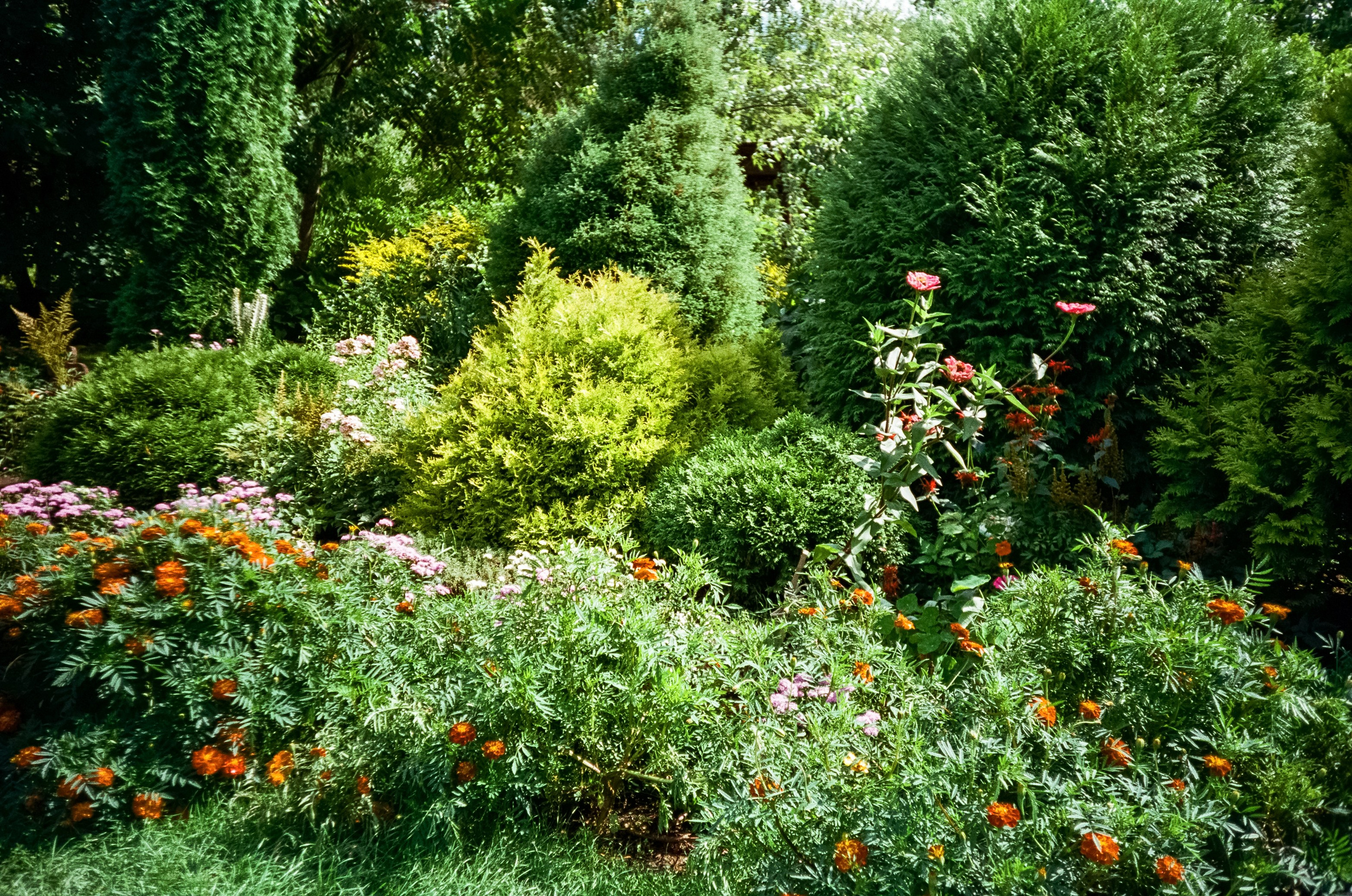 Ботанический сад в солнечный день. Фотограф-документалист Мария Осокина