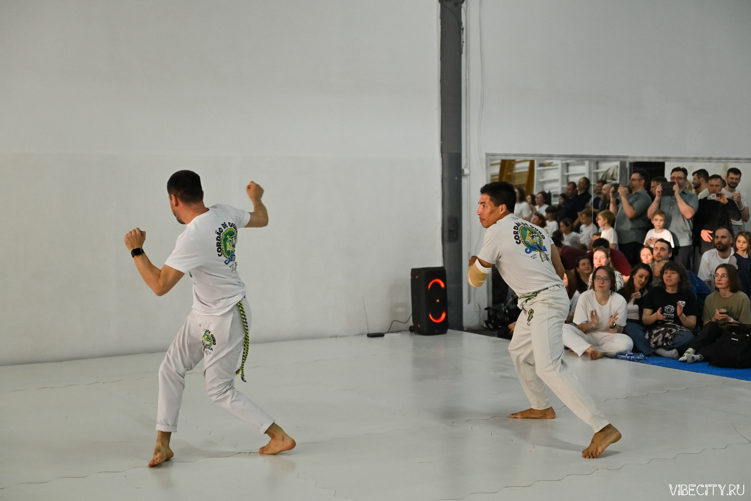 Capoeira: 4-е batizado e Troca de cordao. VIBECITY.RU Вайб Сити Ру Фоторепортажи Фотоотчеты Калининград
