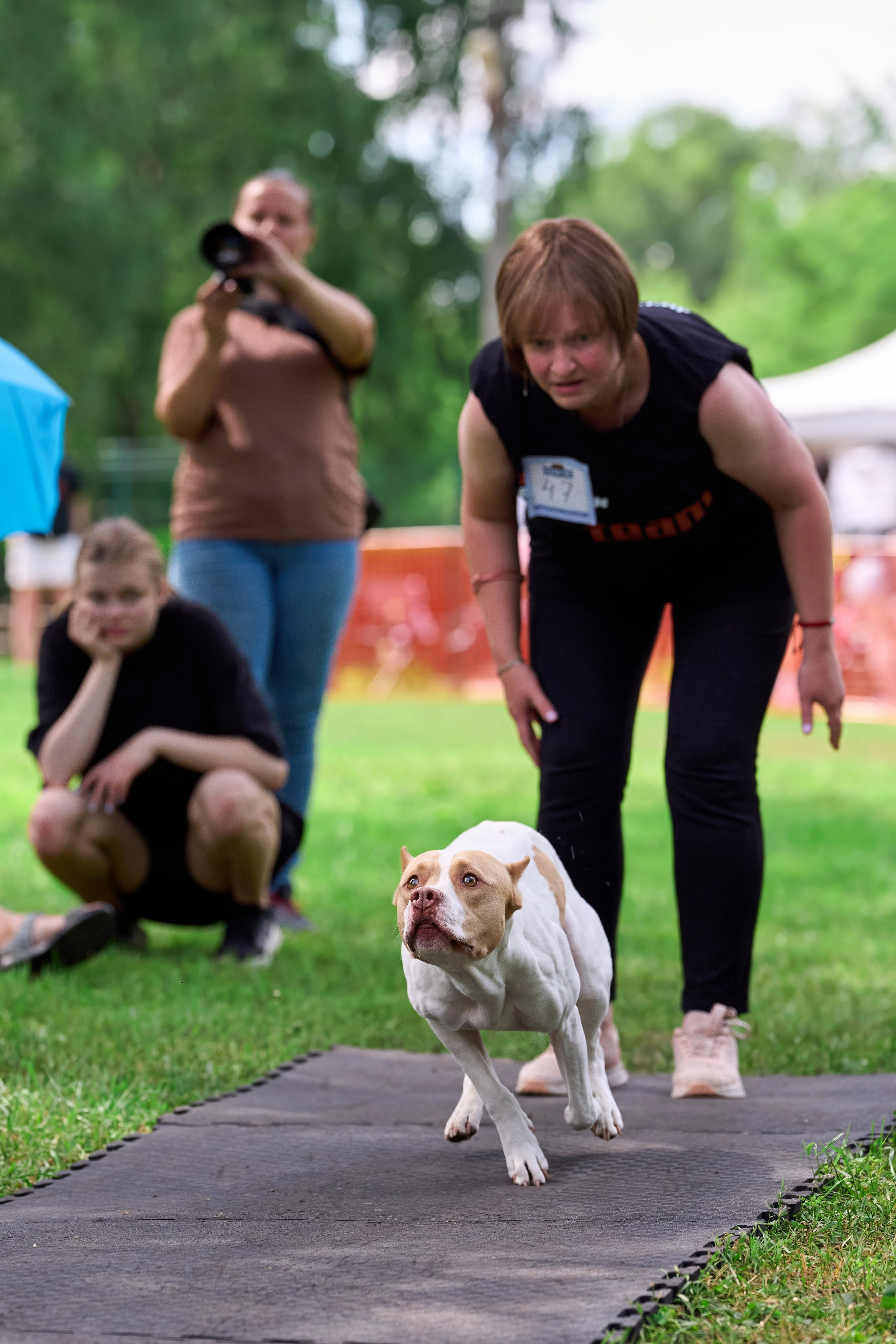 Двухдневные соревнования «Jump'n'Gym Fest — 2024». Фотограф-анималист Михаил Манухин