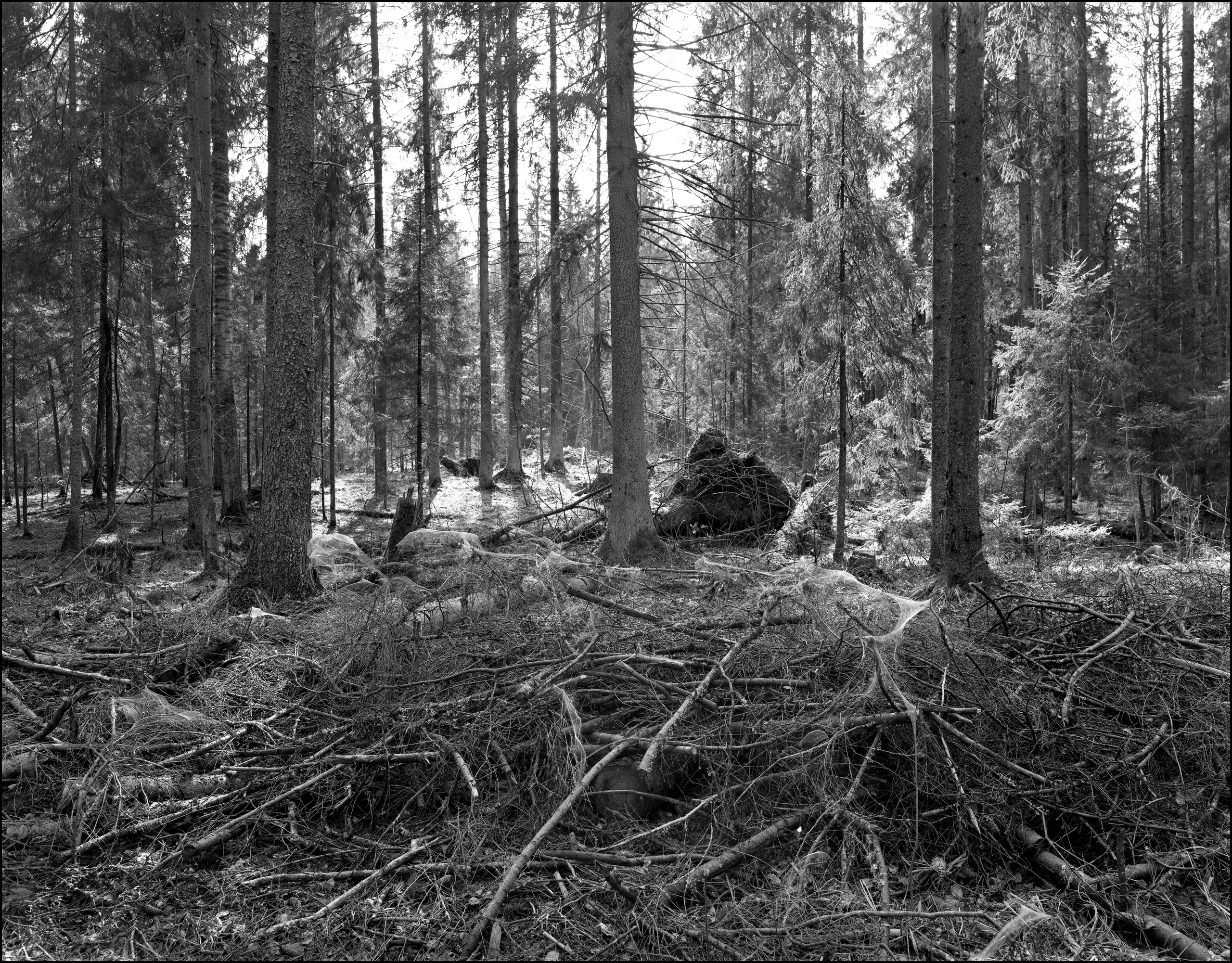 Карелия. Sergey Kondriuk art-photographer | artist